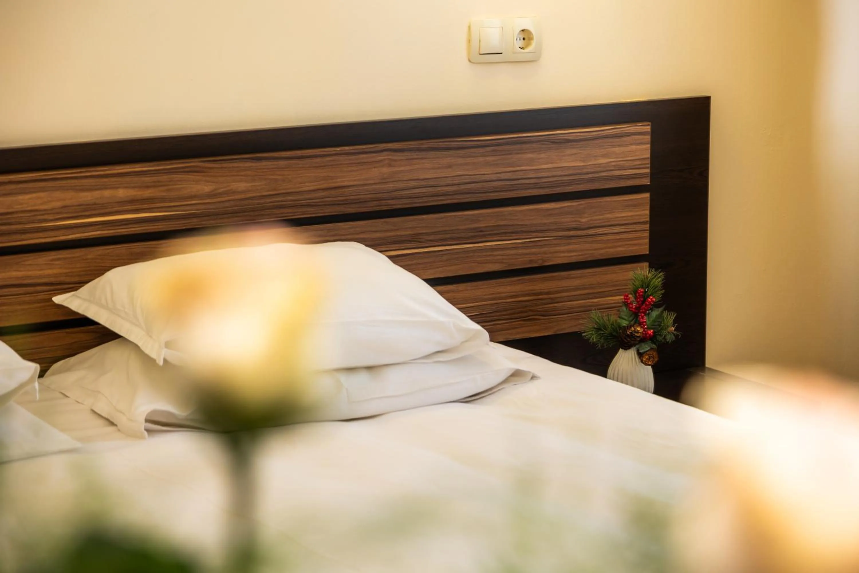 Bed in Hotel Mursalitsa by HMG - Half board