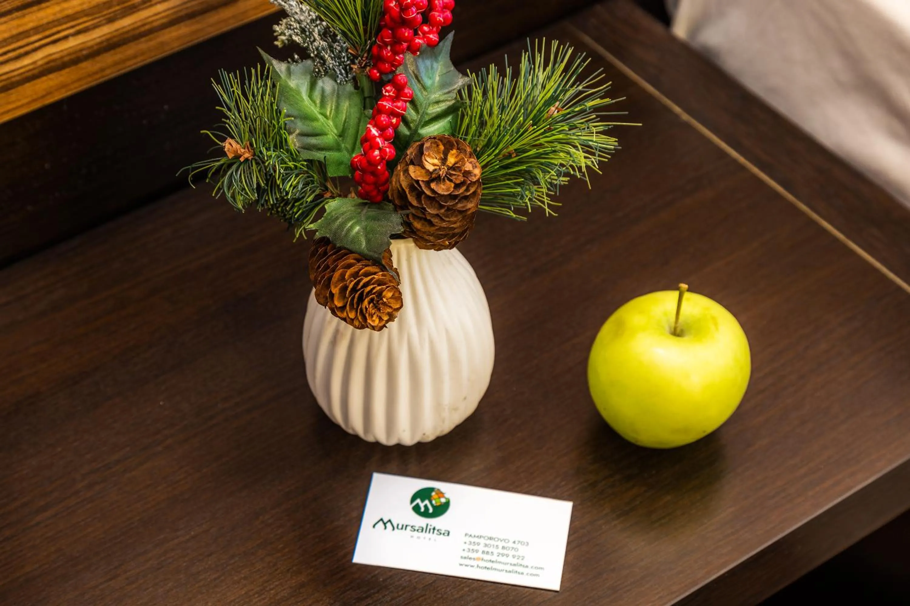 Decorative detail in Hotel Mursalitsa by HMG - Half board