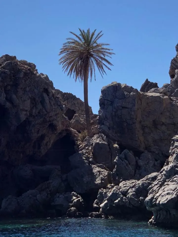 Natural landscape in Triton Authentic Cretan Hotel