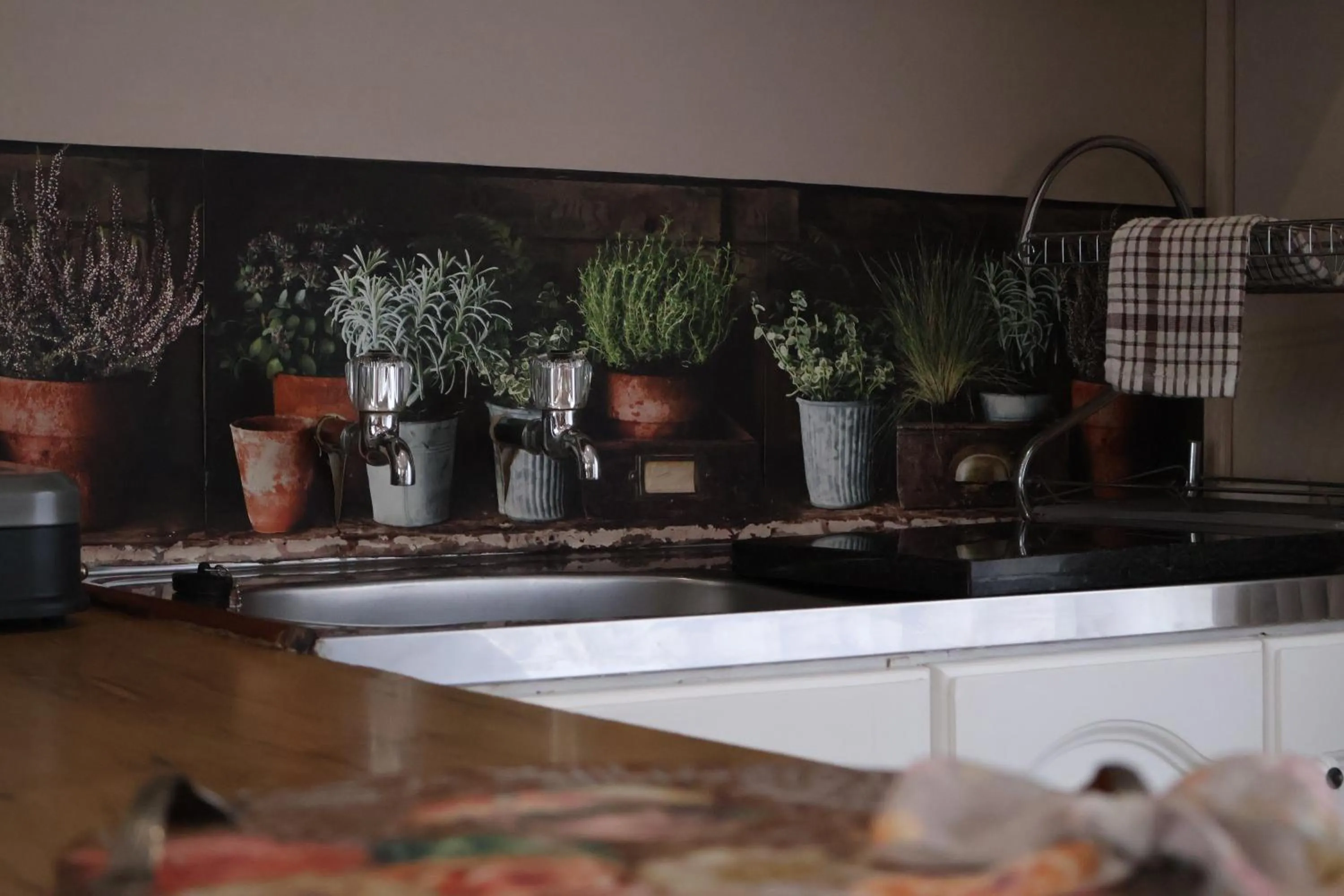 Kitchen or kitchenette in Aalkie's Dream