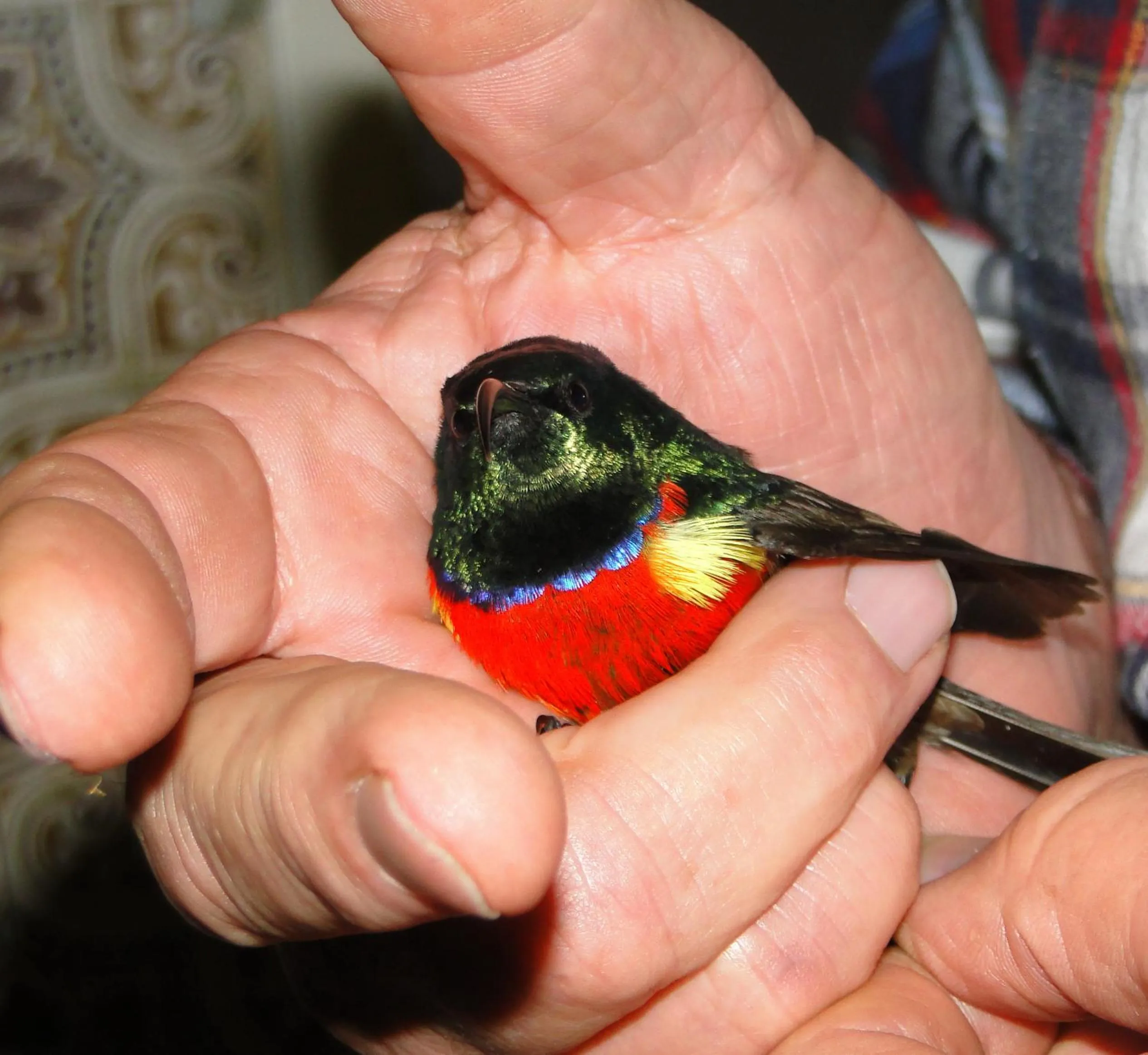 Garden view in Aalkie's Dream