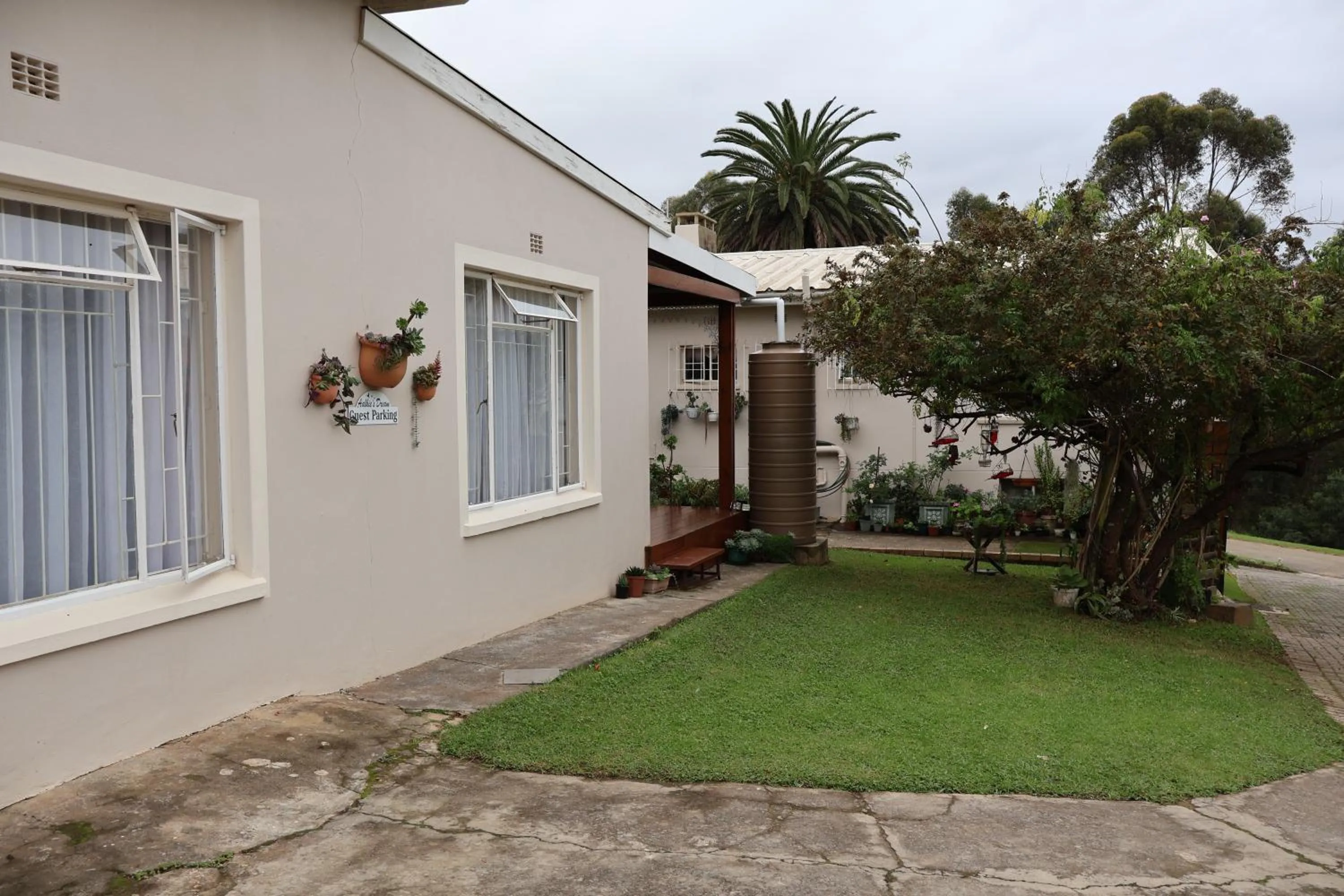 Parking in Aalkie's Dream