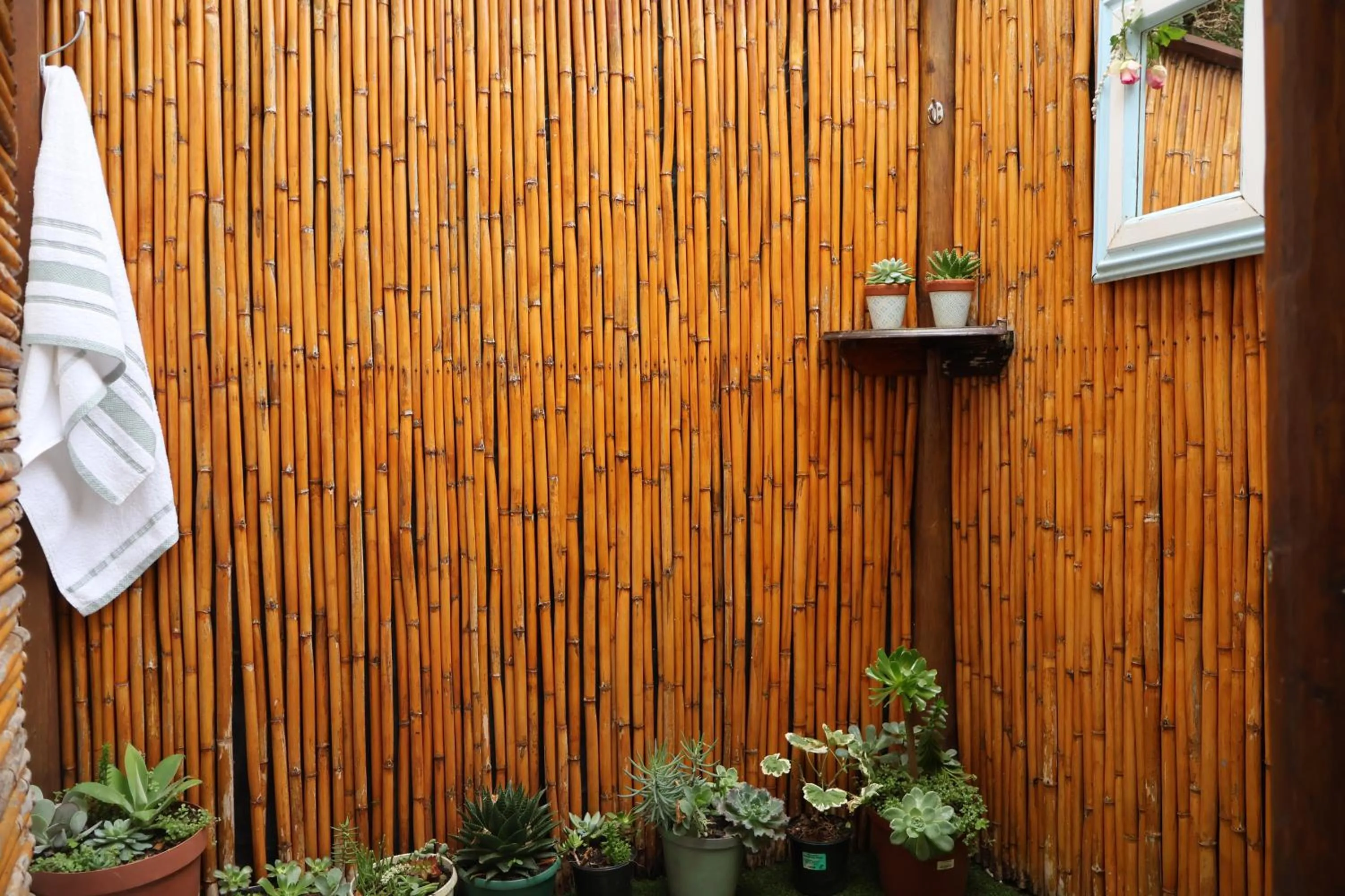 Shower in Aalkie's Dream