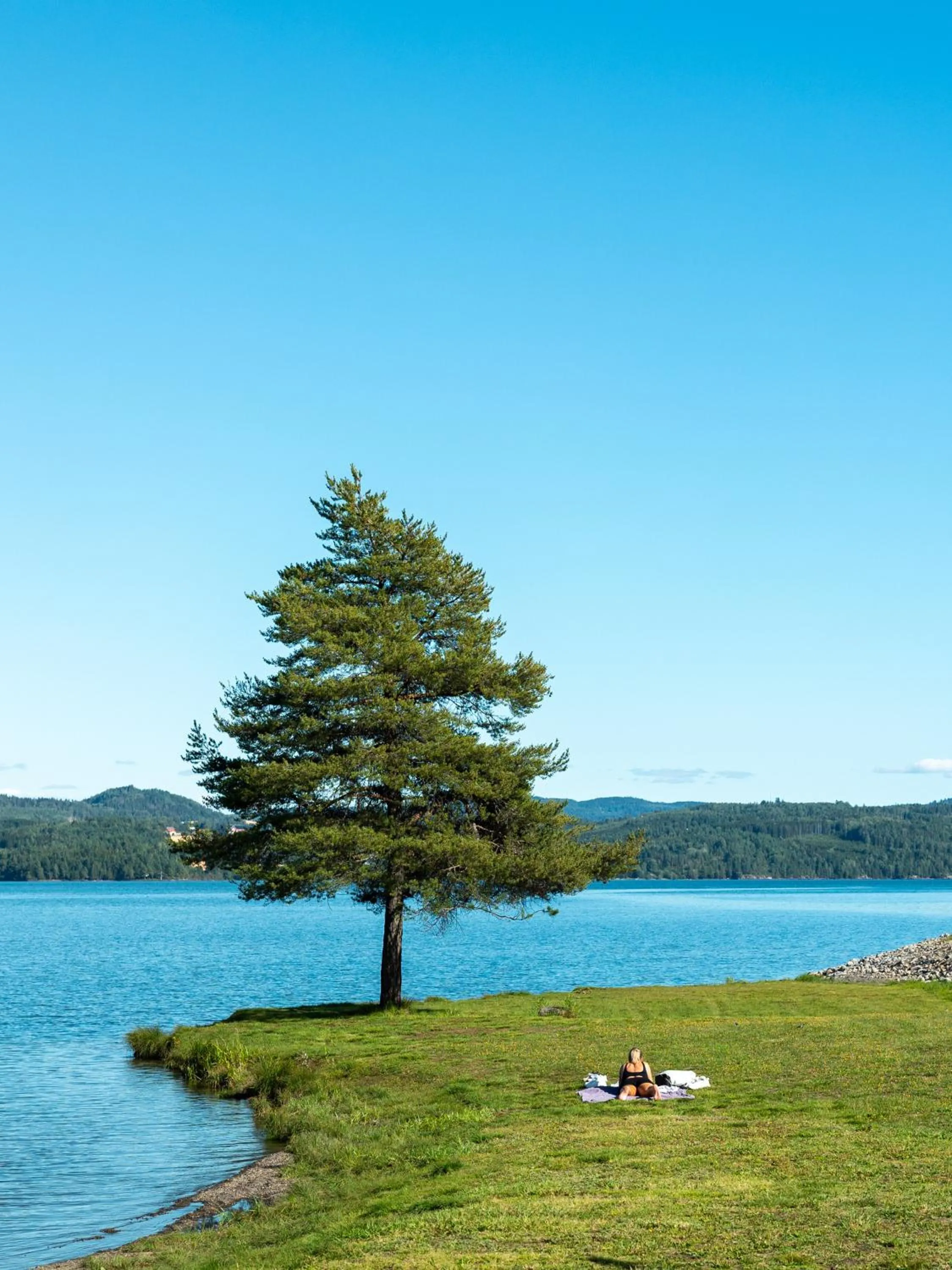 View (from property/room) in Sveastranda Camping