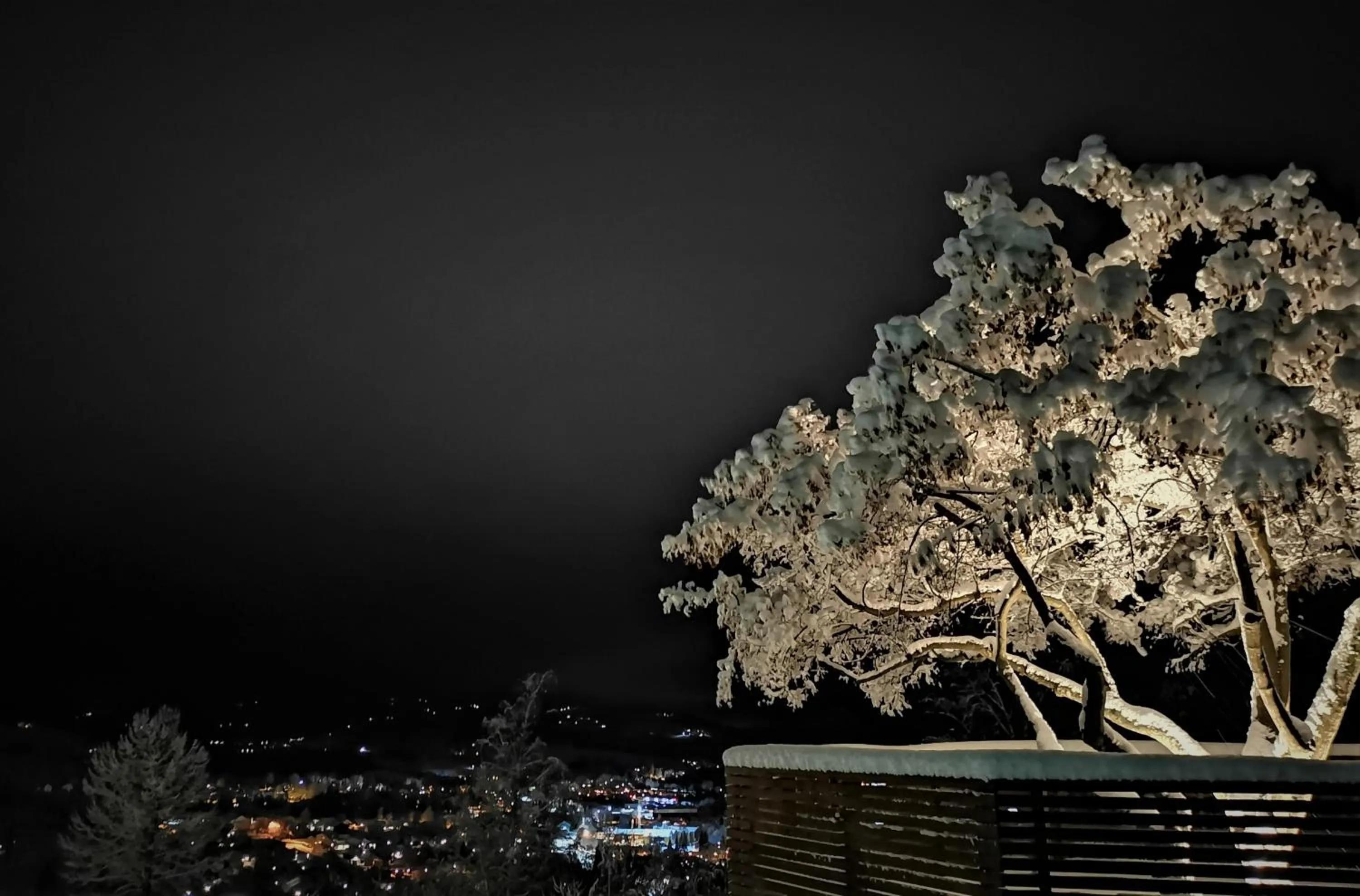 Night in Honne Hotell