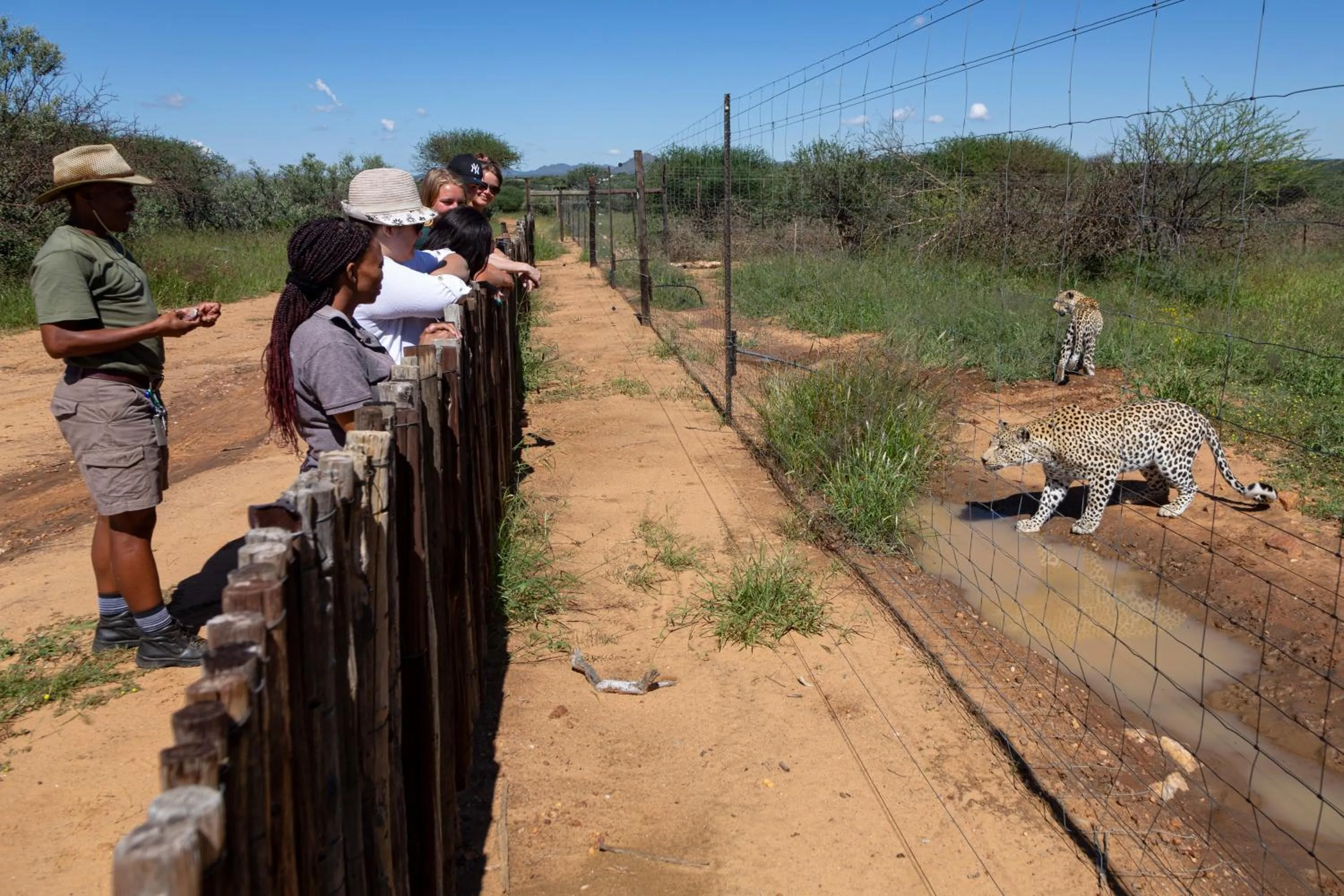 Activities in Naankuse Lodge