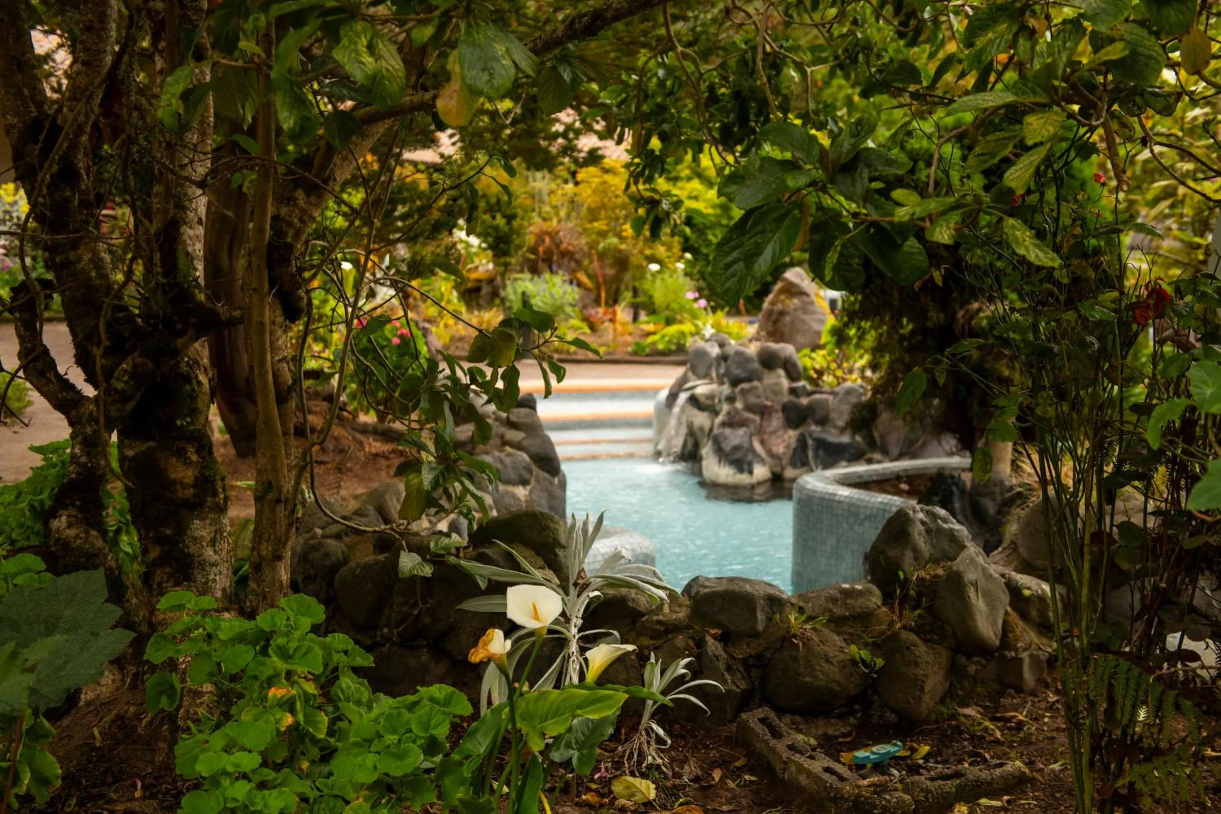 Natural landscape in Termas de Papallacta