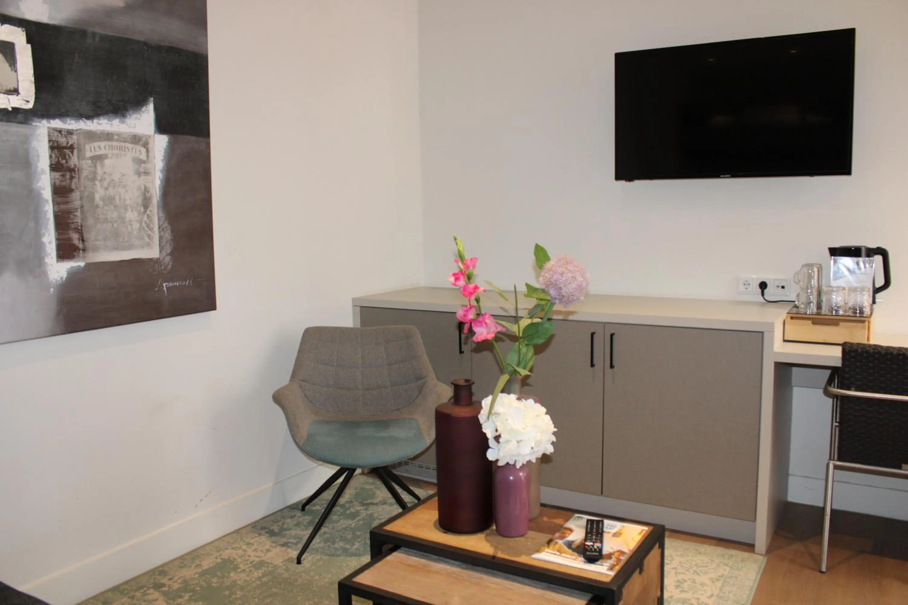 TV and multimedia in Hotel 't Peperhuys