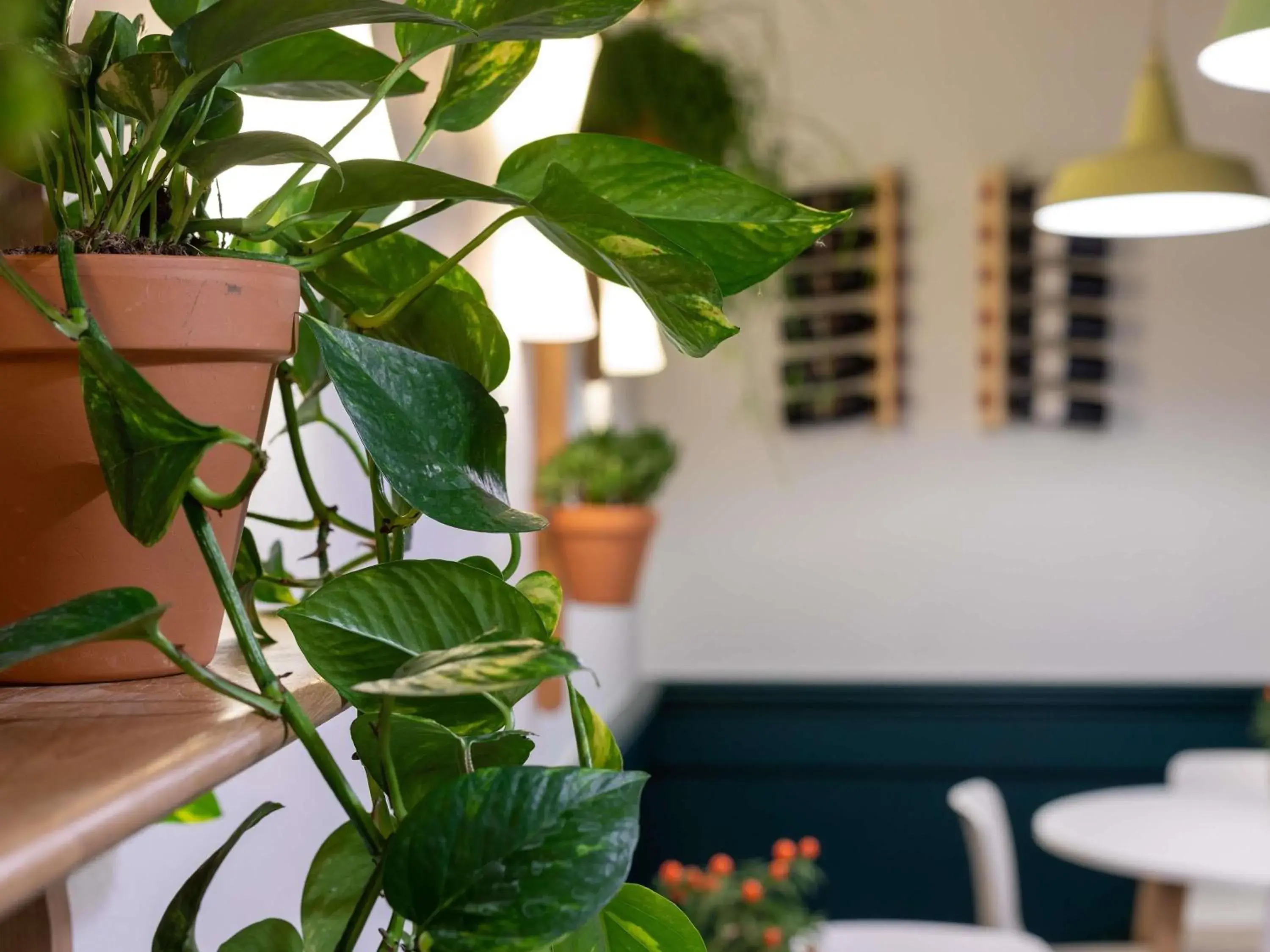 Restaurant/places to eat in ibis Dunkerque Restaurant/places to eat in ibis Dunkerque