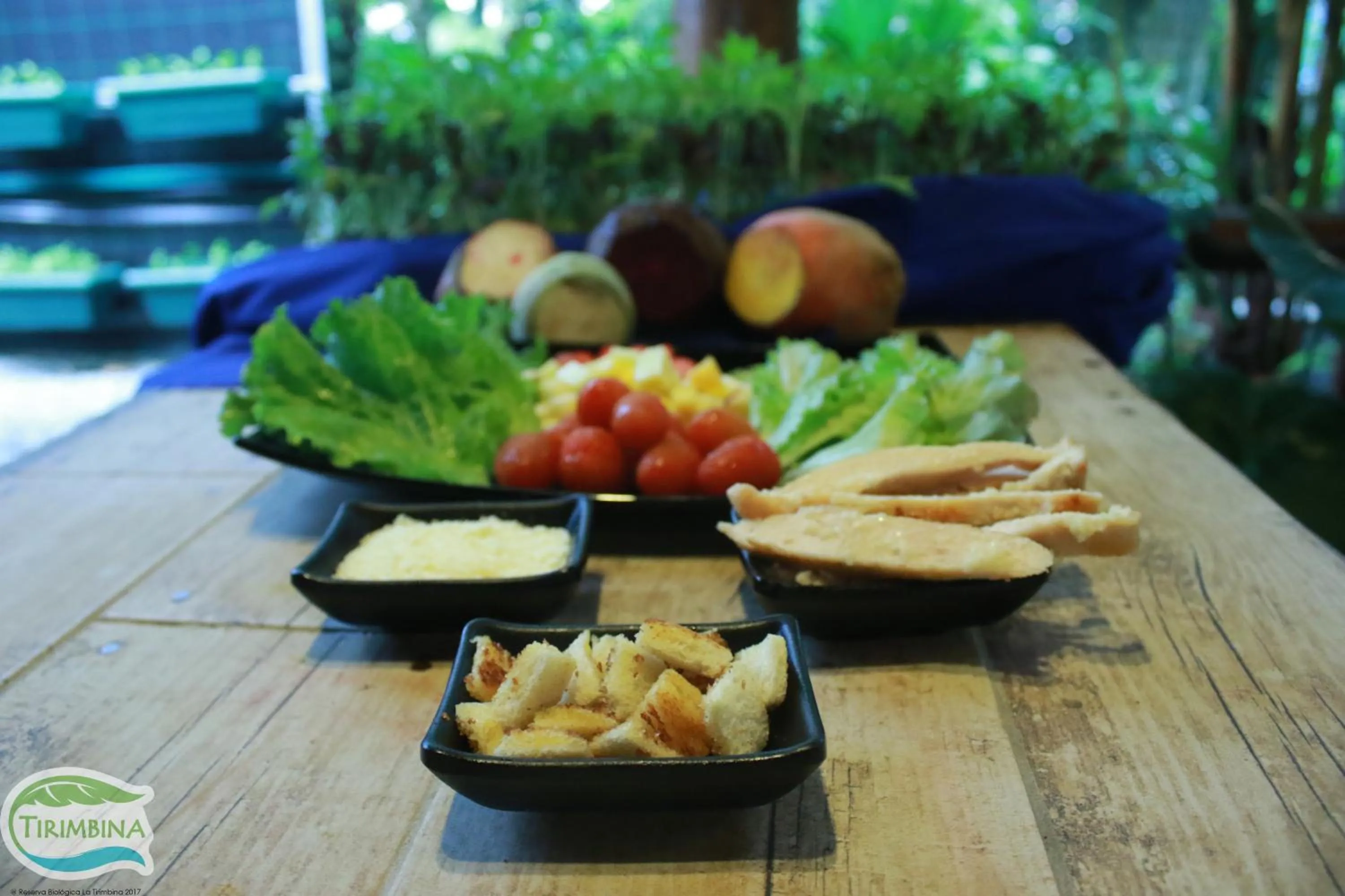 Restaurant/places to eat in Tirimbina Rainforest Lodge