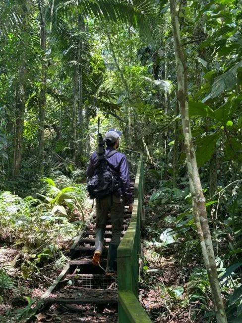 Hiking in Tirimbina Rainforest Lodge