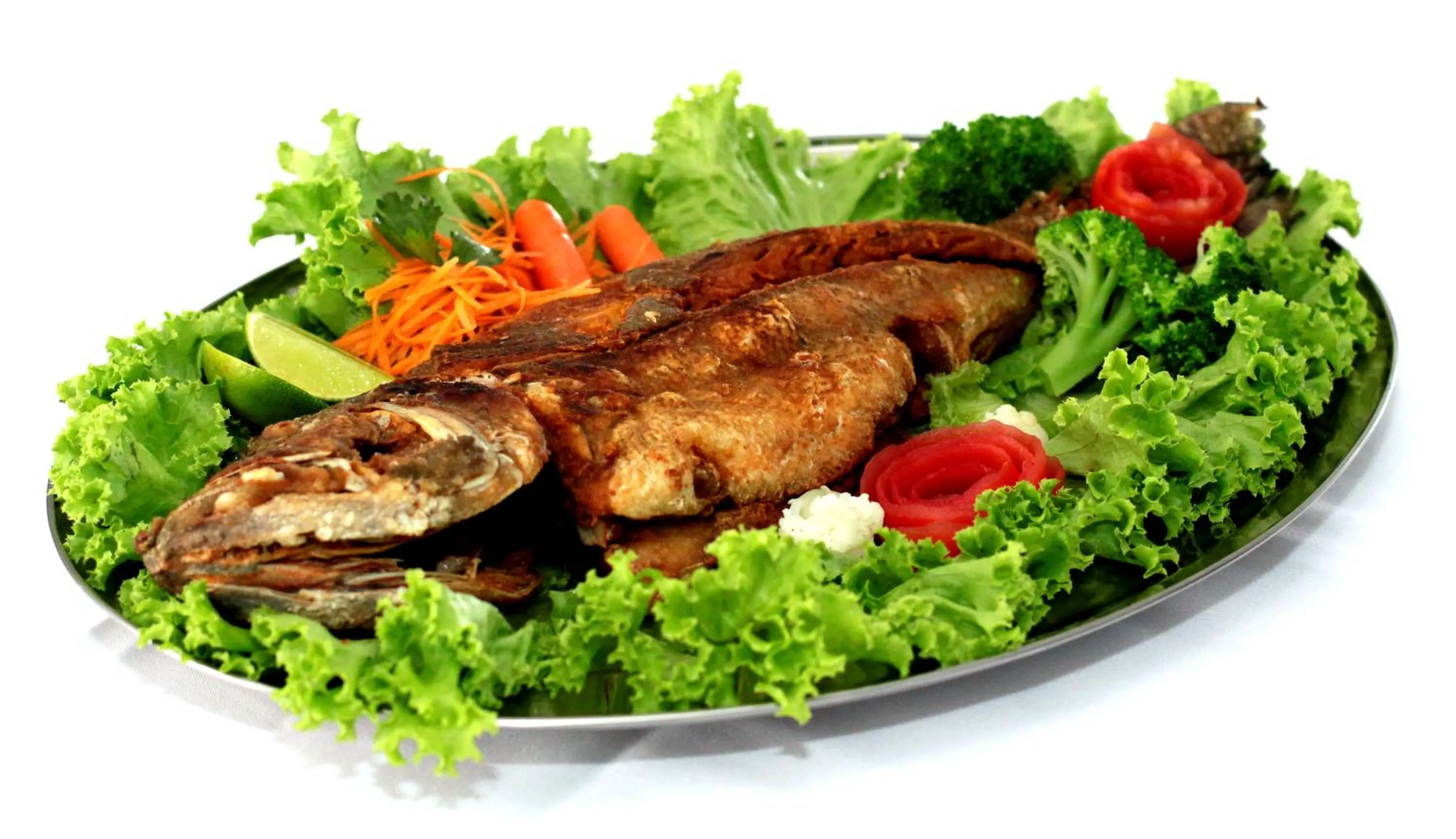 Restaurant/places to eat in Hotel Tauari