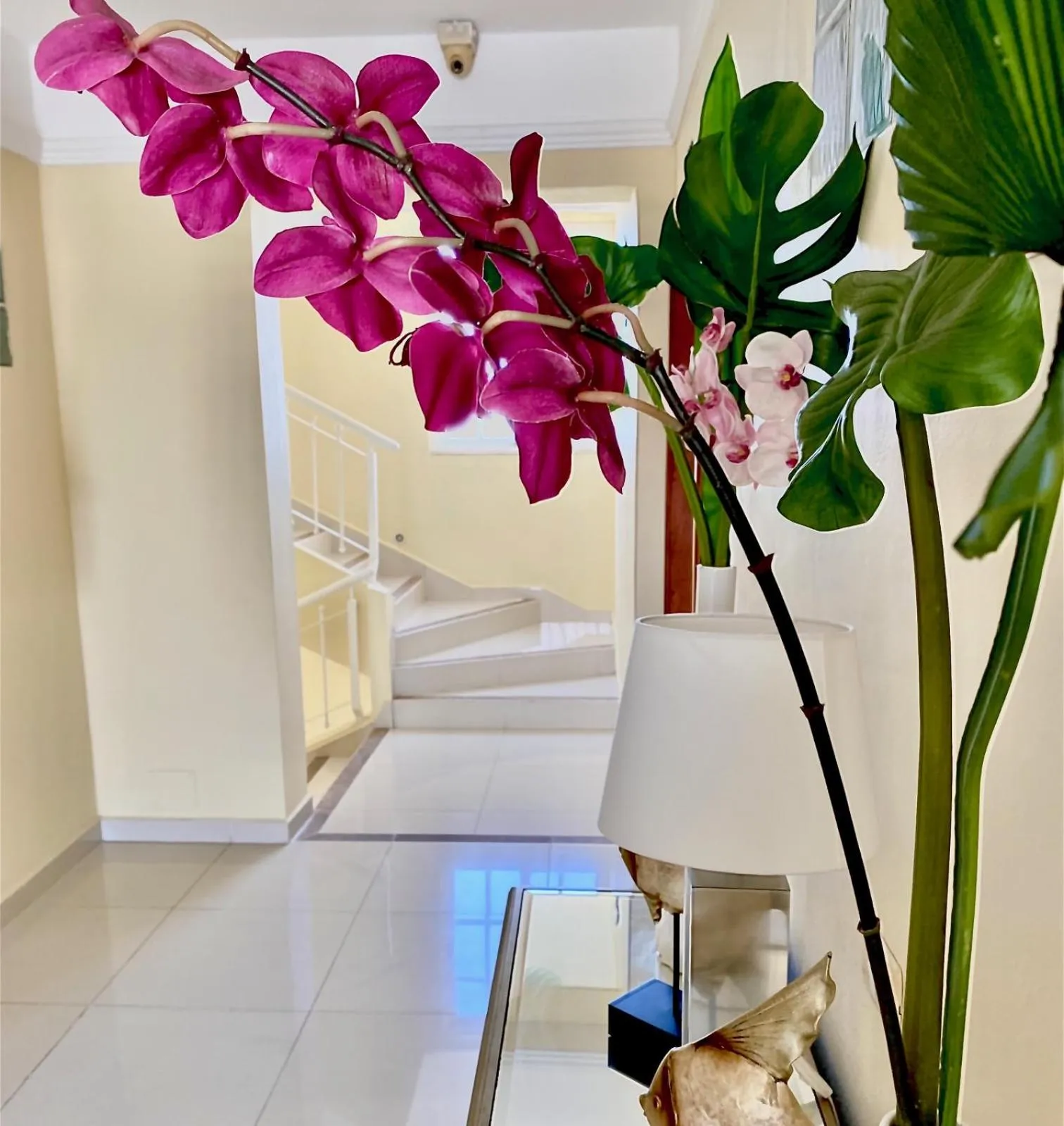 Property building in Hotel Shakey