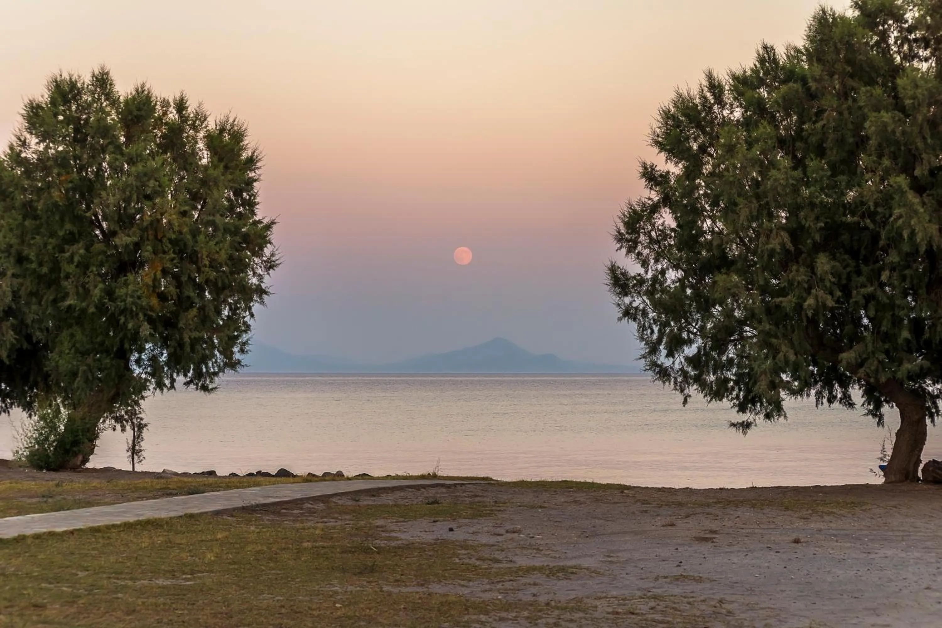 Summer in Olympia Mare