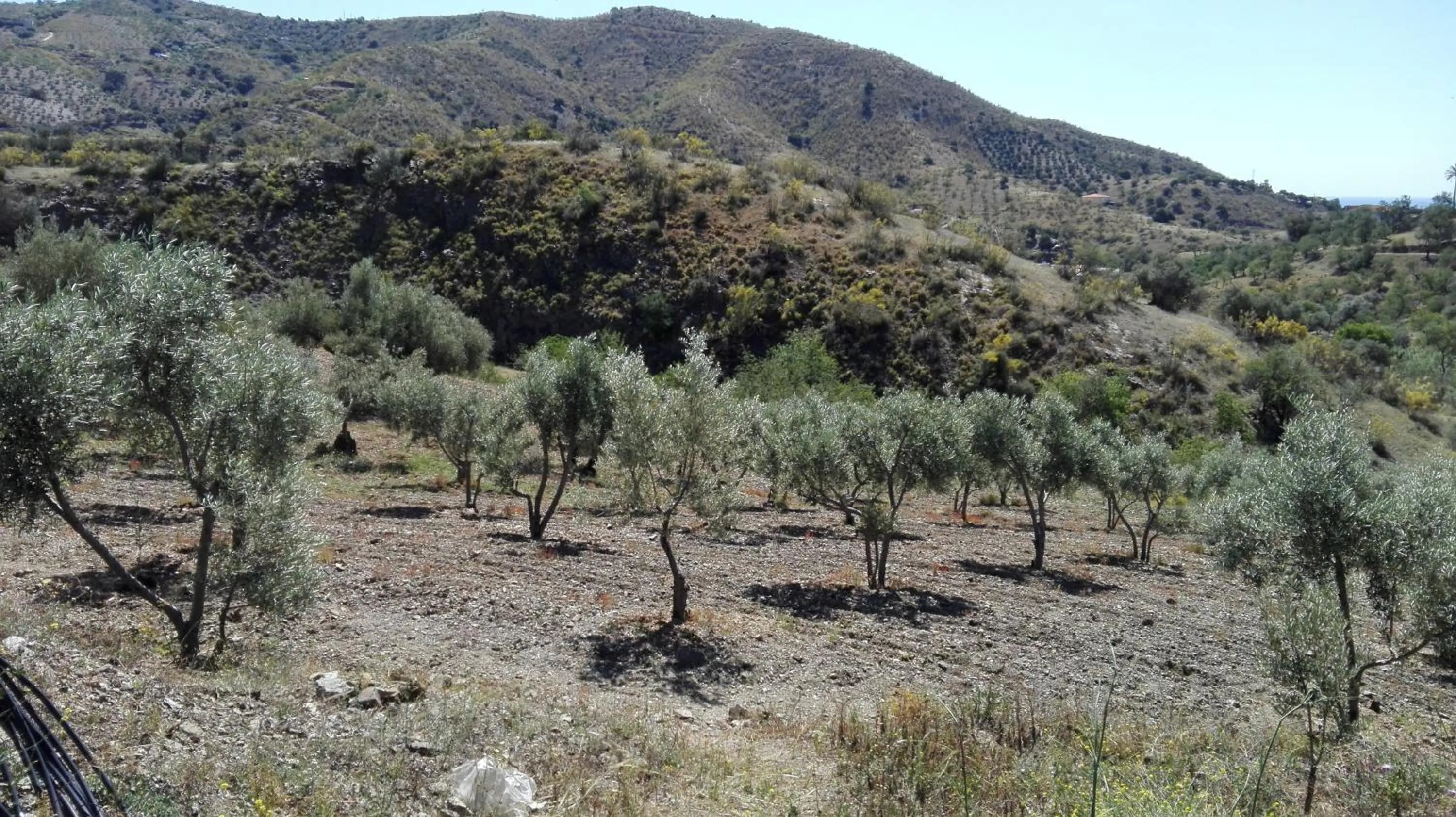 Cortijo Rural Los Gonzalez