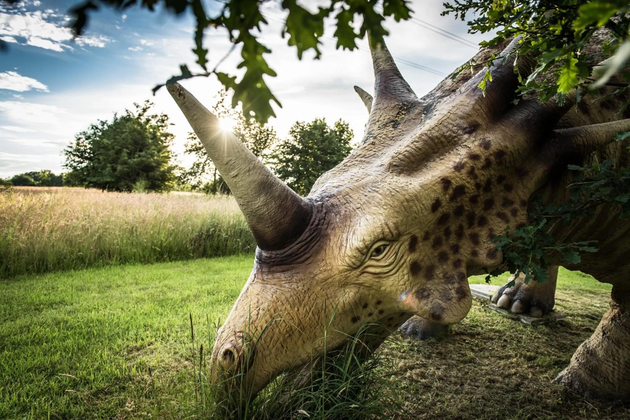 Activities in Hotel Restaurant Bullerdieck