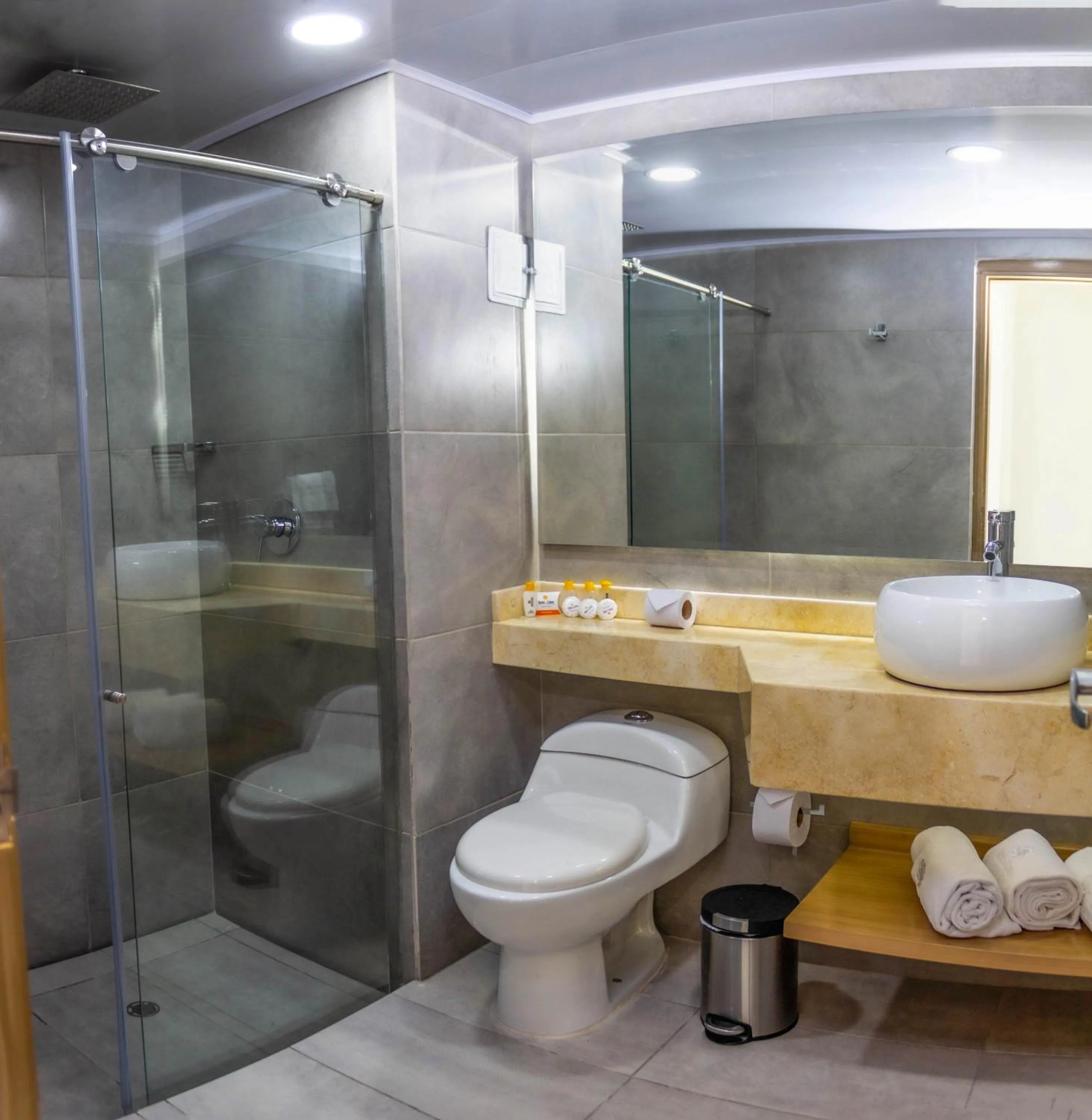 Bathroom in Hotel del Llano