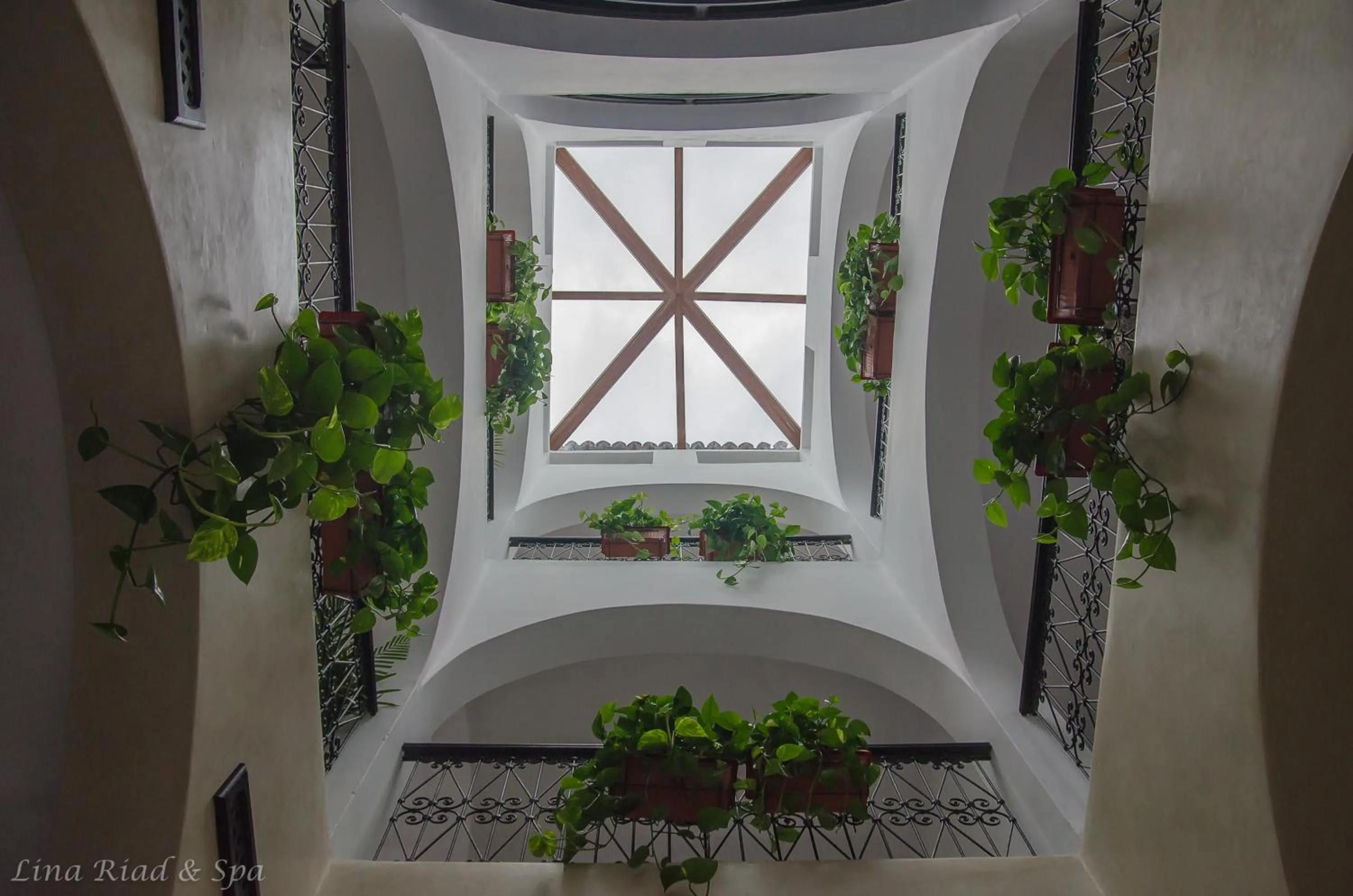 Decorative detail in Lina Ryad & Spa