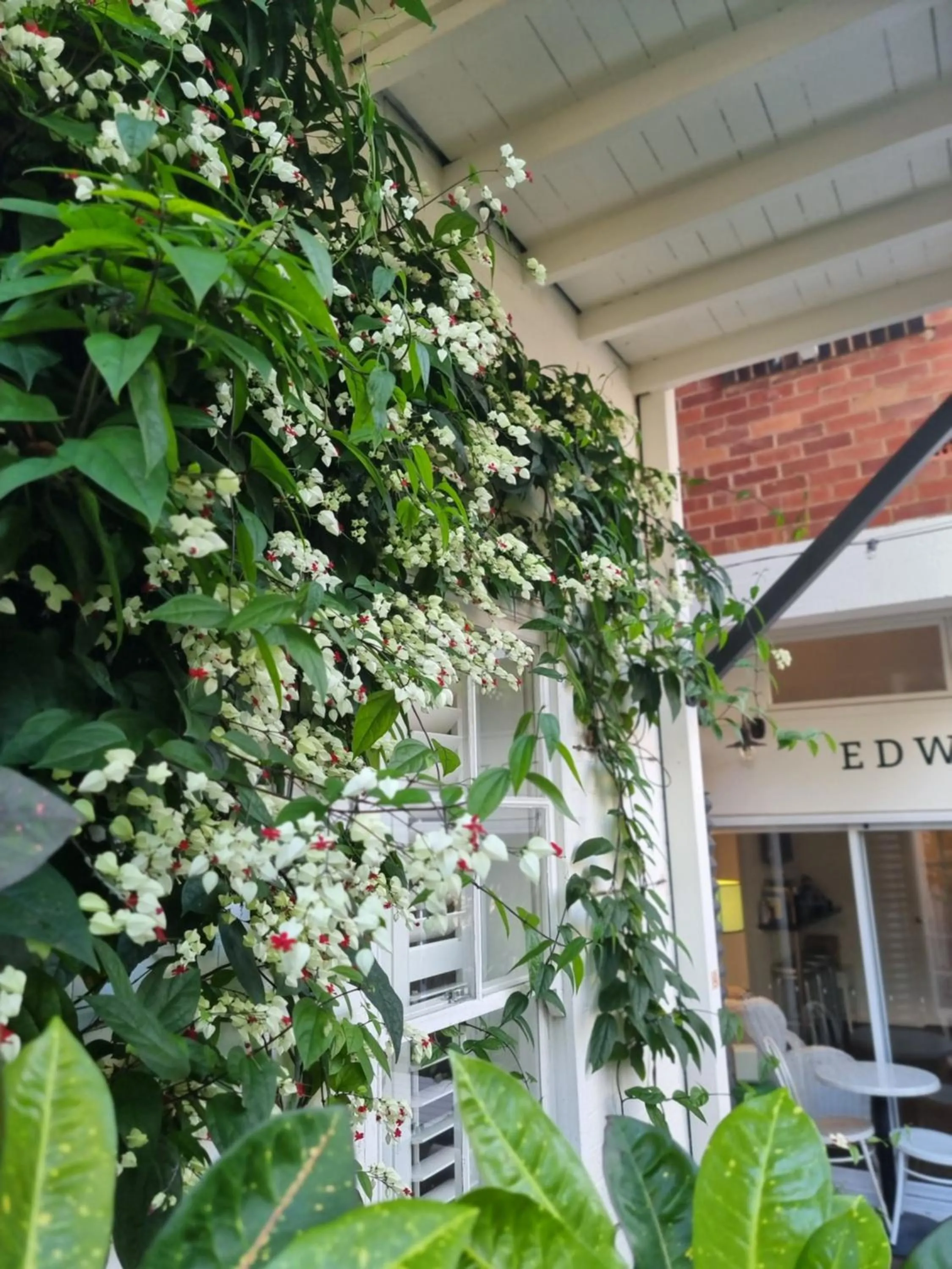 Property building in Edward Lodge New Fam