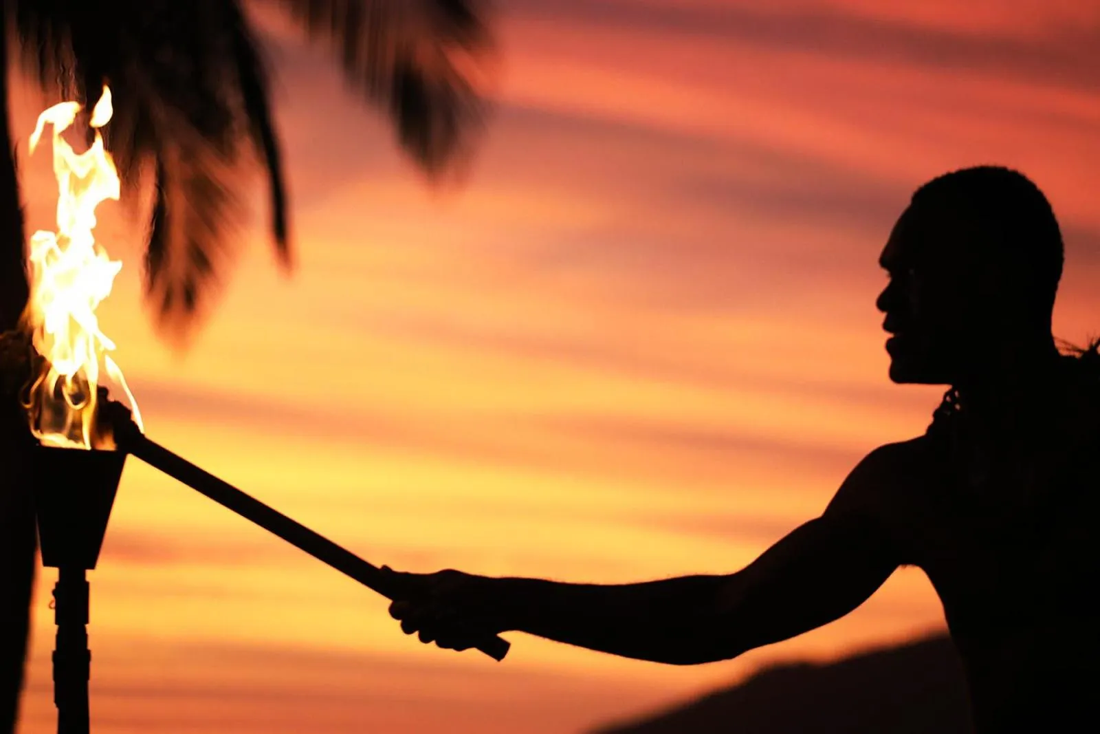 Tropica Island Resort-Adults Only