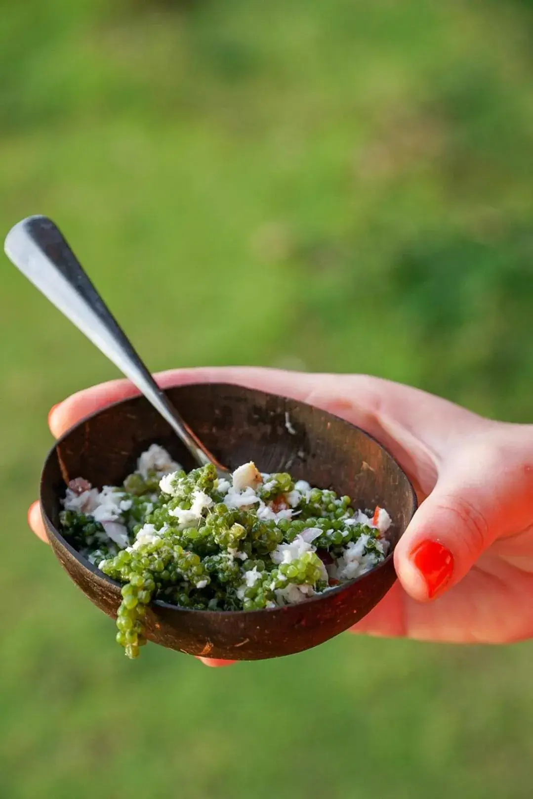 Food in Tropica Island Resort-Adults Only Food in Tropica Island Resort-Adults Only