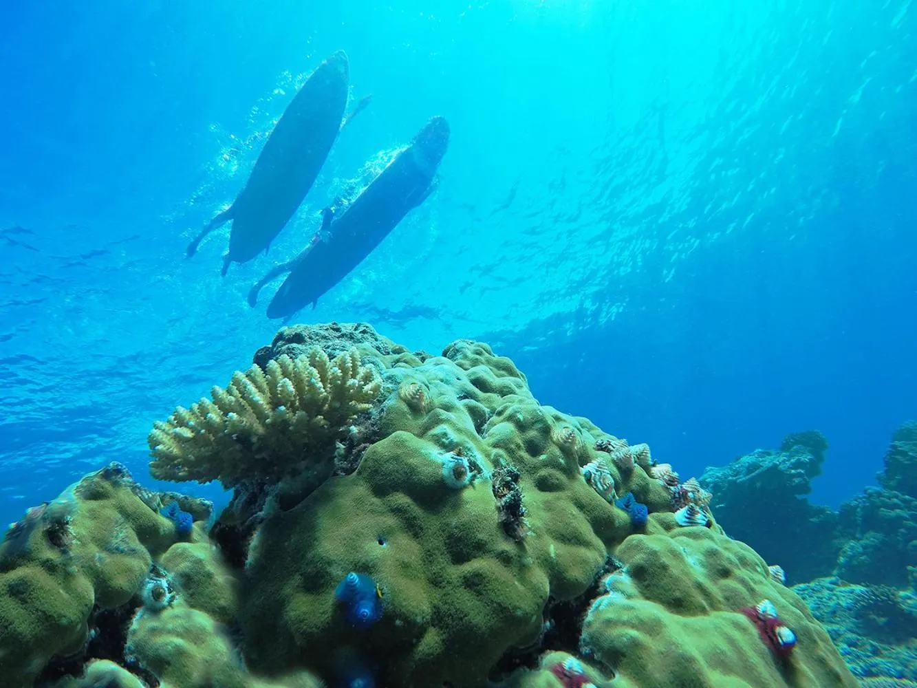 Activities in Tropica Island Resort-Adults Only