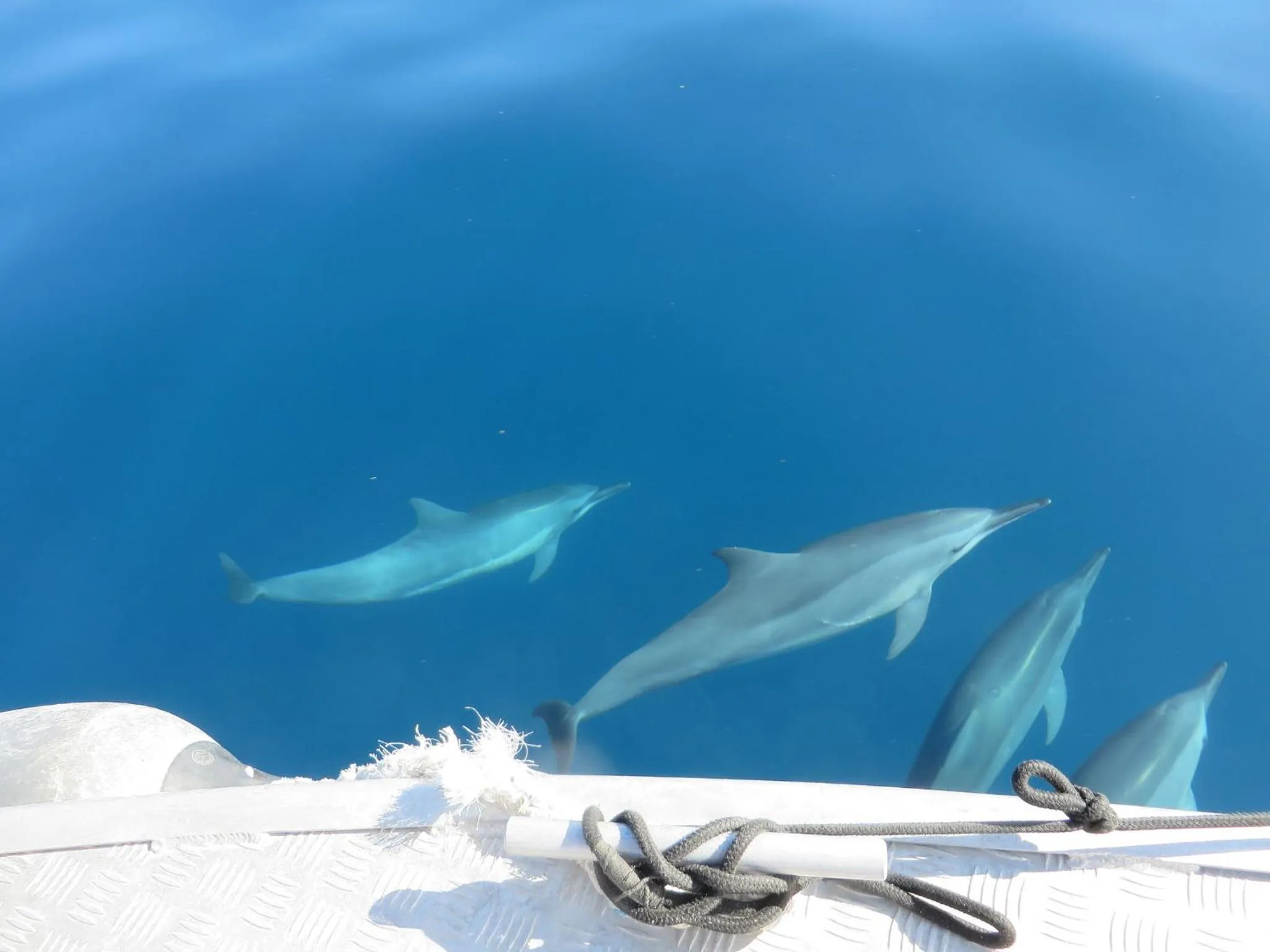 Activities in Tropica Island Resort-Adults Only