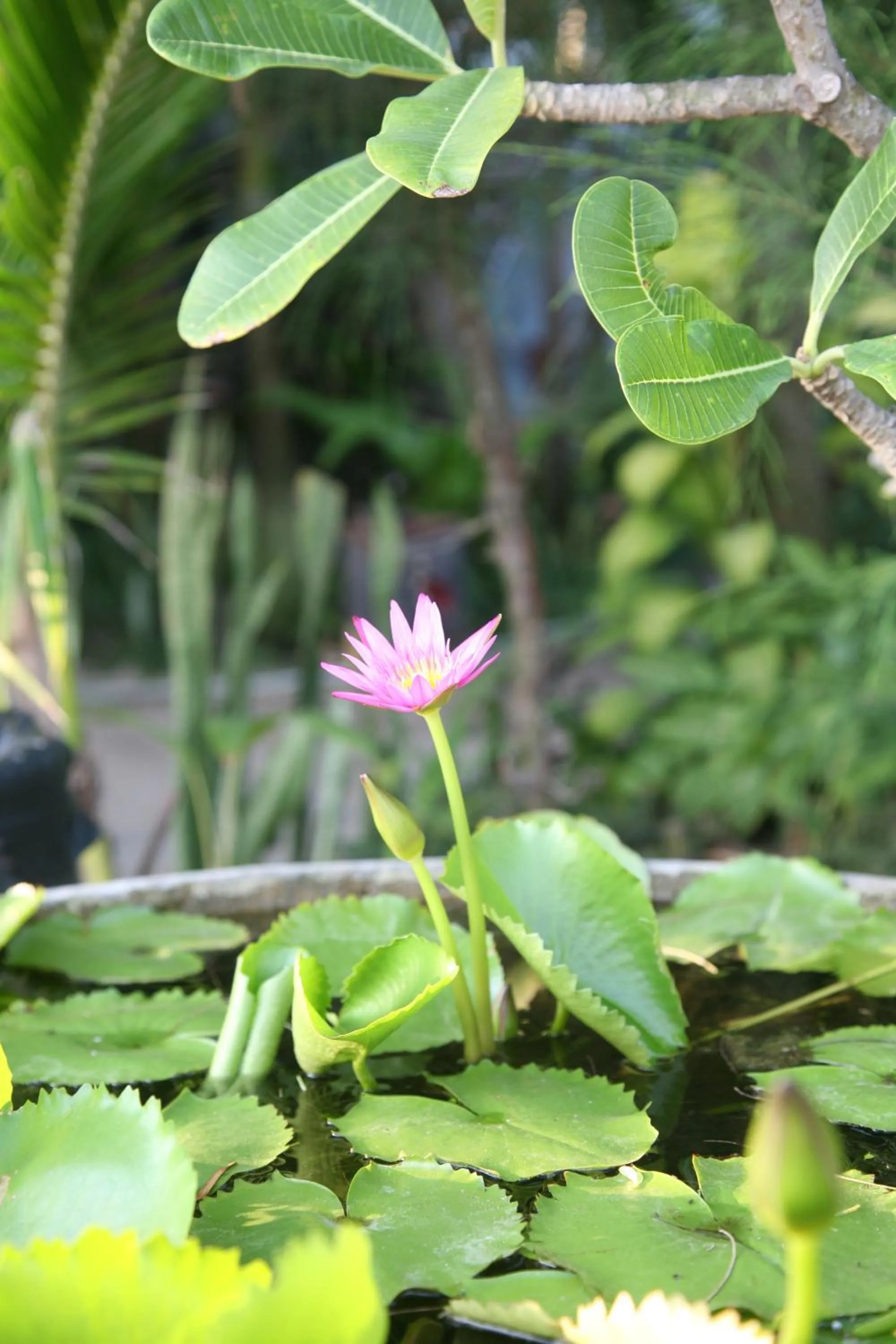 Natural landscape in Mui Ne Resort