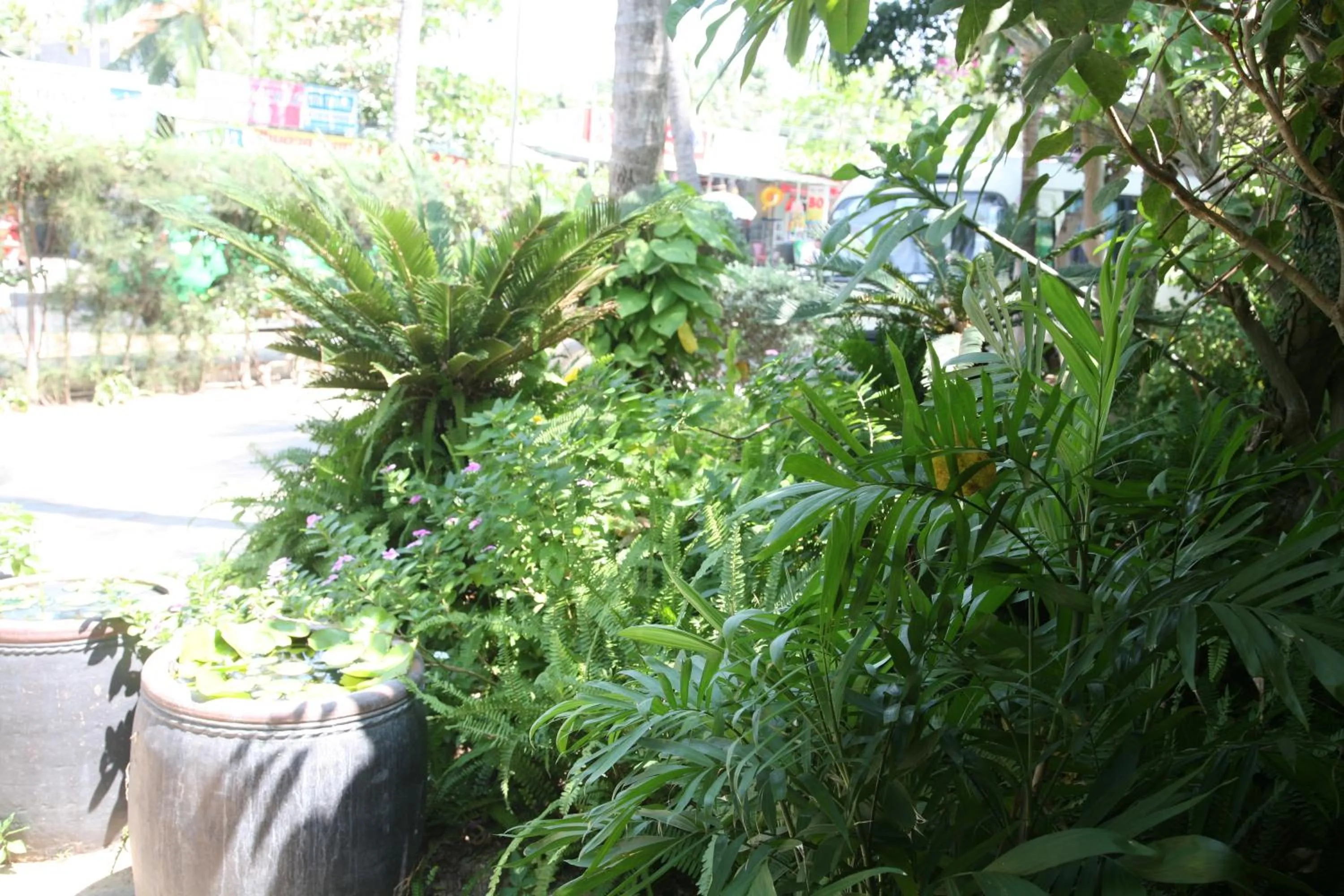 Neighbourhood in Mui Ne Resort