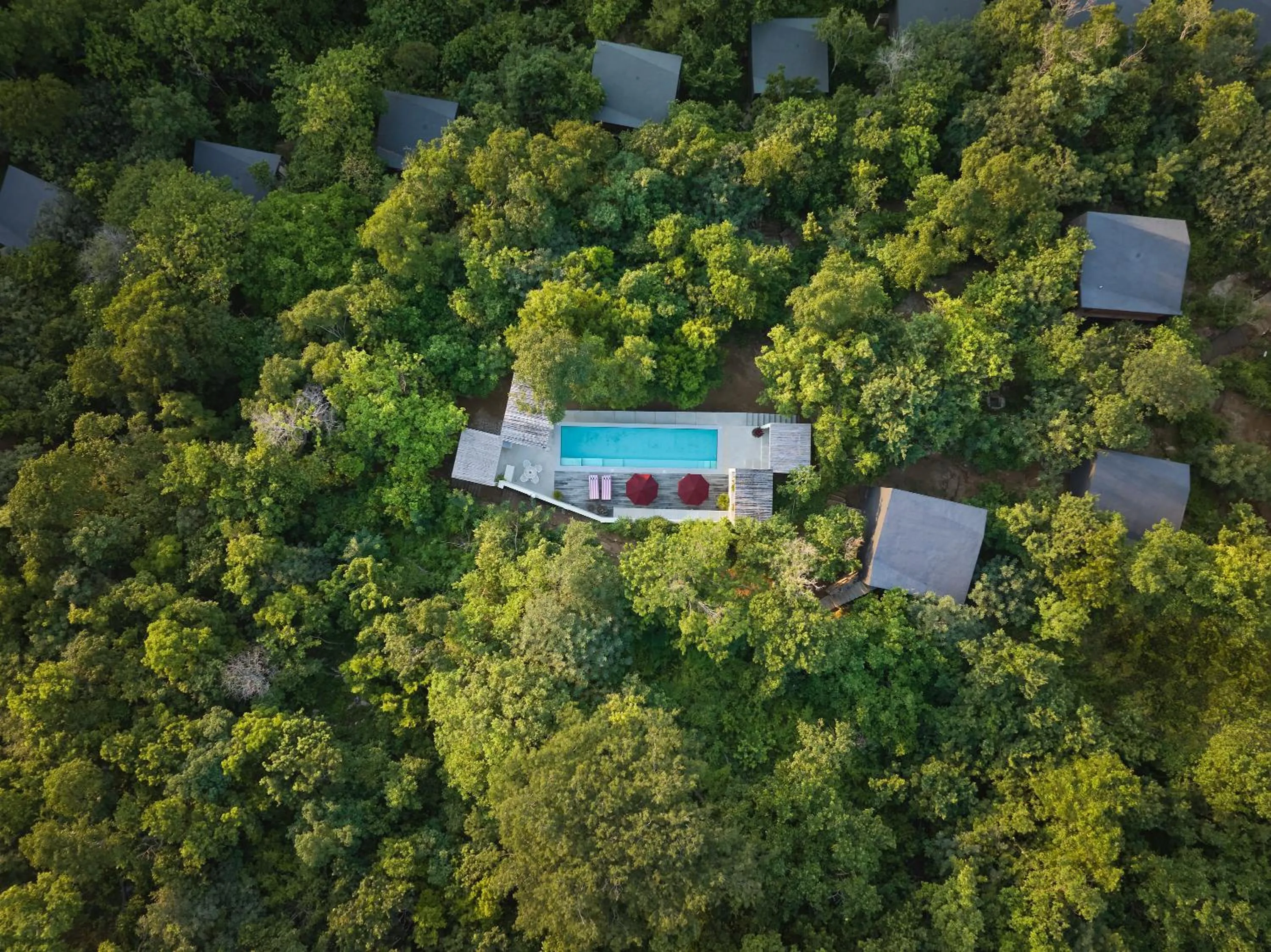 Swimming pool in Cocolia Hotel
