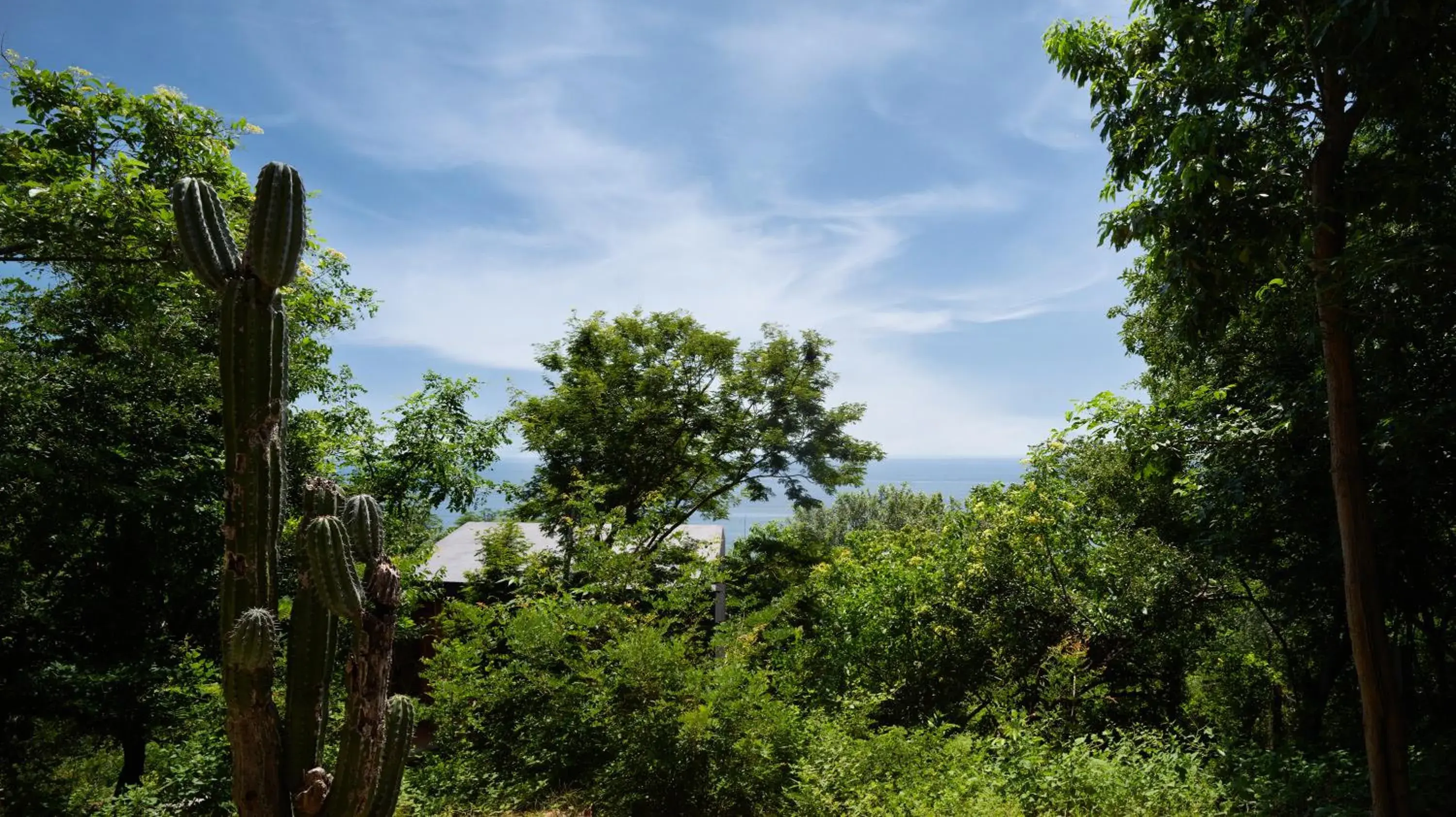 Garden view in Cocolia Hotel Garden view in Cocolia Hotel