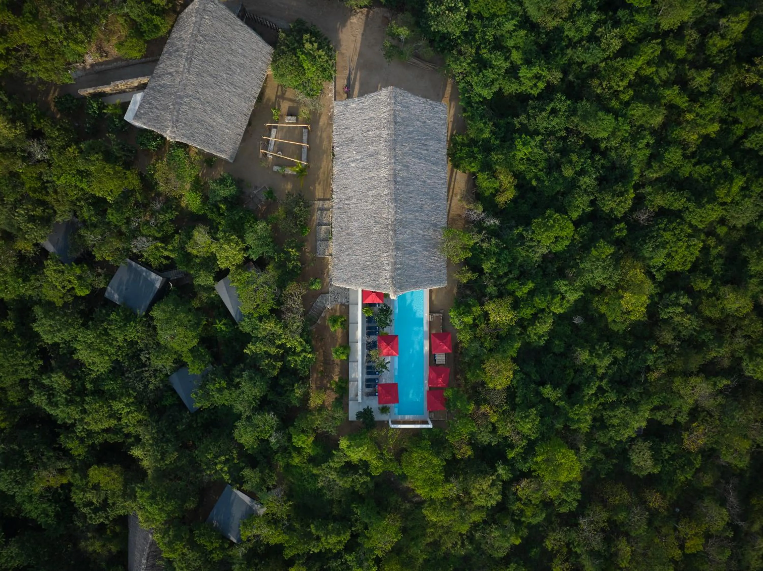 Swimming pool in Cocolia Hotel