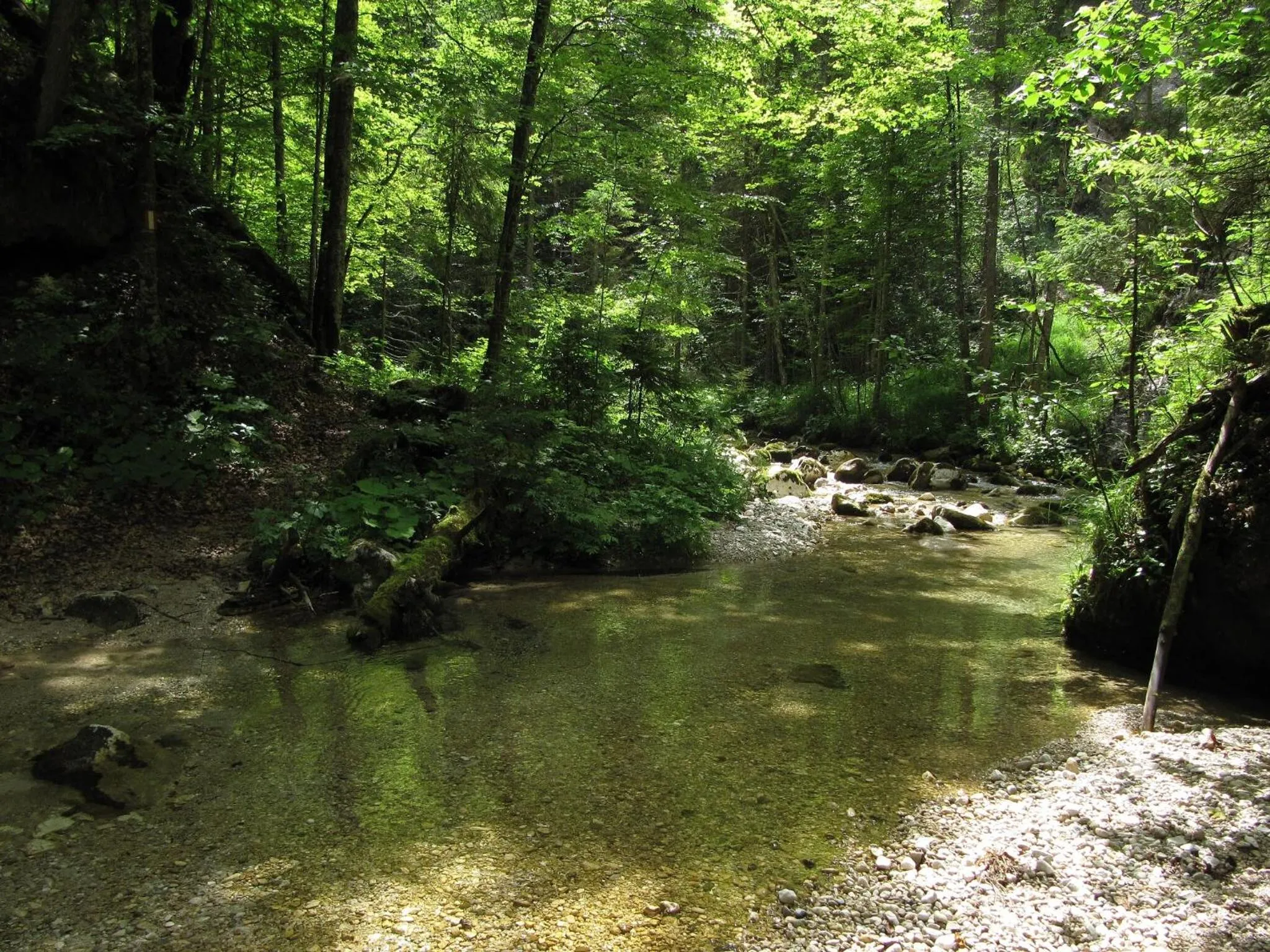 Hiking in Aparthotel Buchauer-Tirol