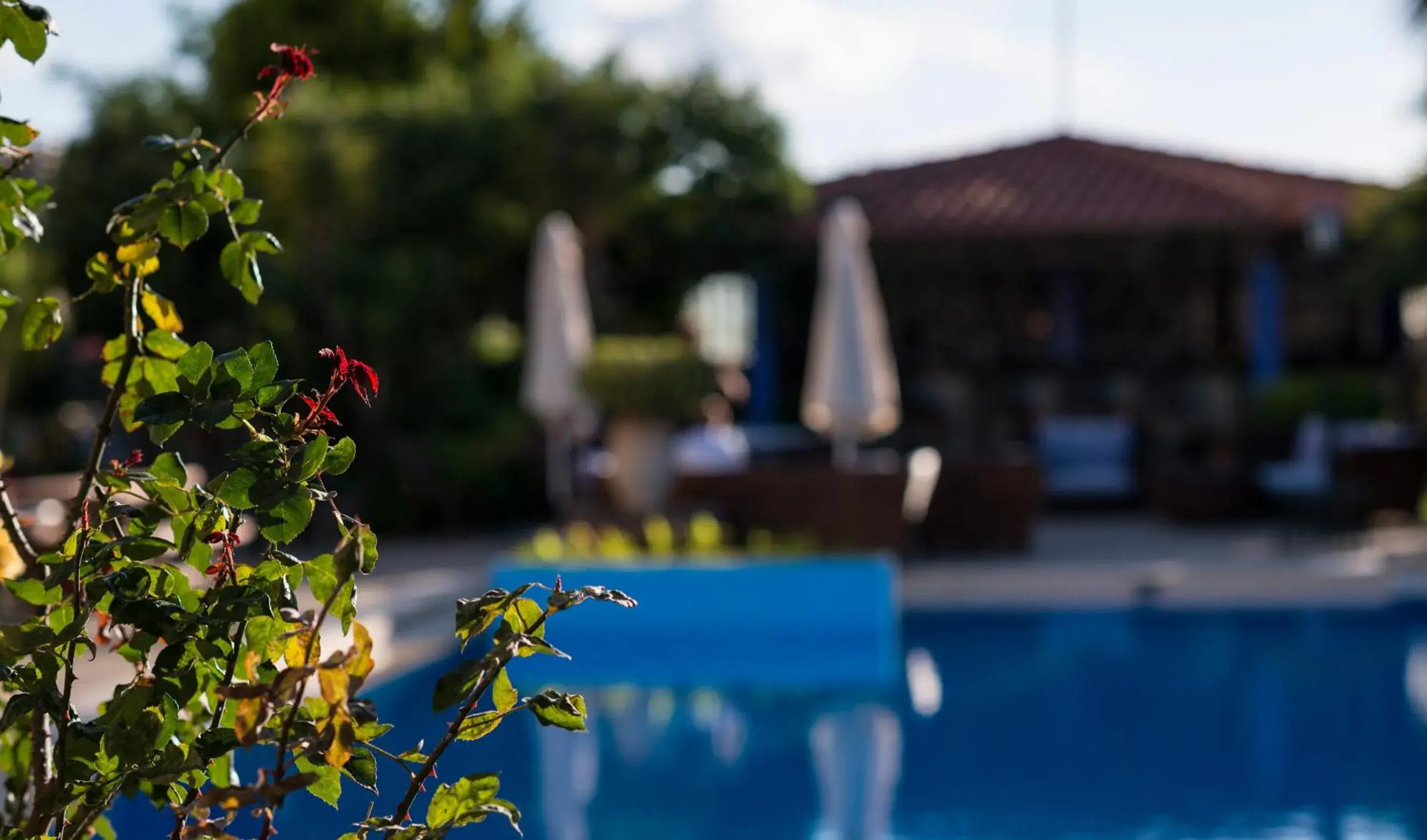 Facade/entrance in Nireas Hotel Facade/entrance in Nireas Hotel