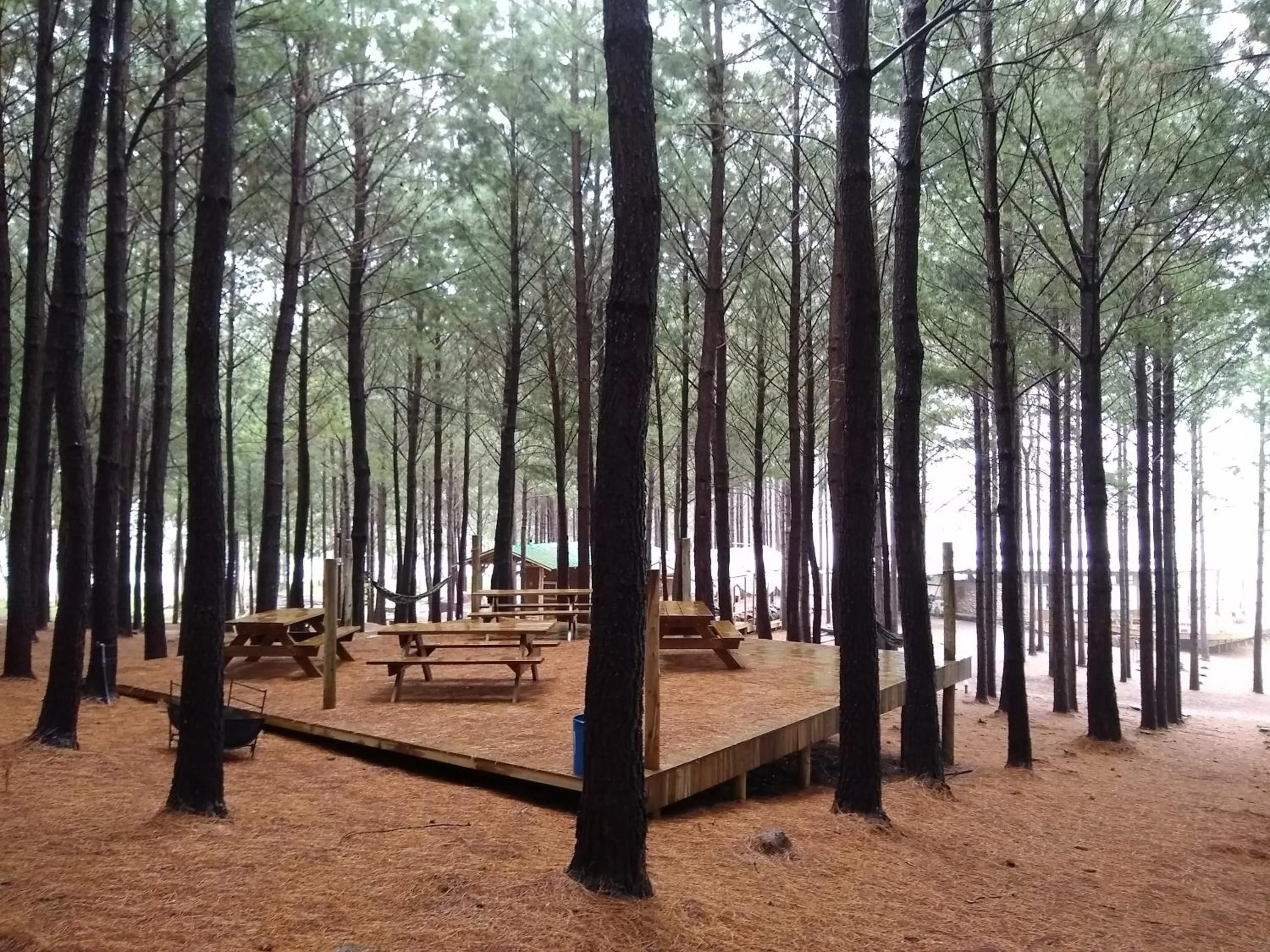 Natural landscape in Tedesco Eco Park