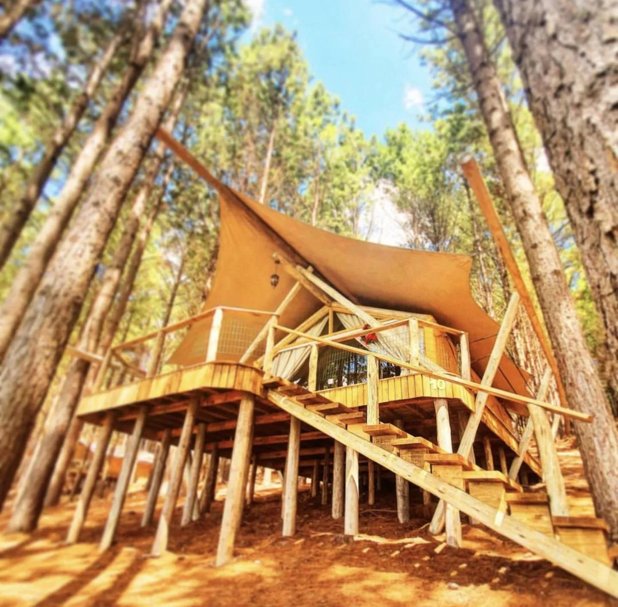 Patio in Tedesco Eco Park