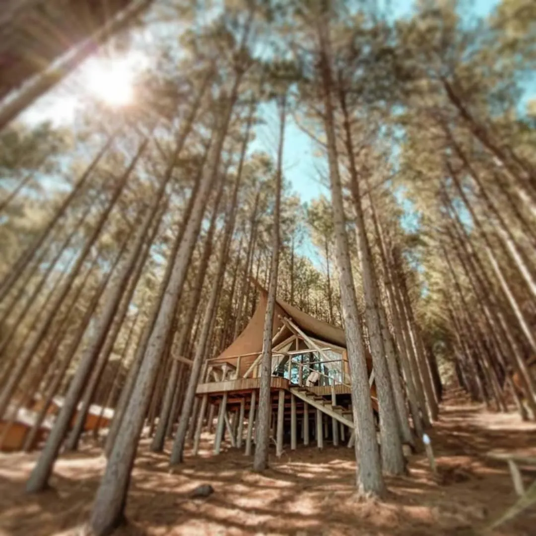 Property building in Tedesco Eco Park