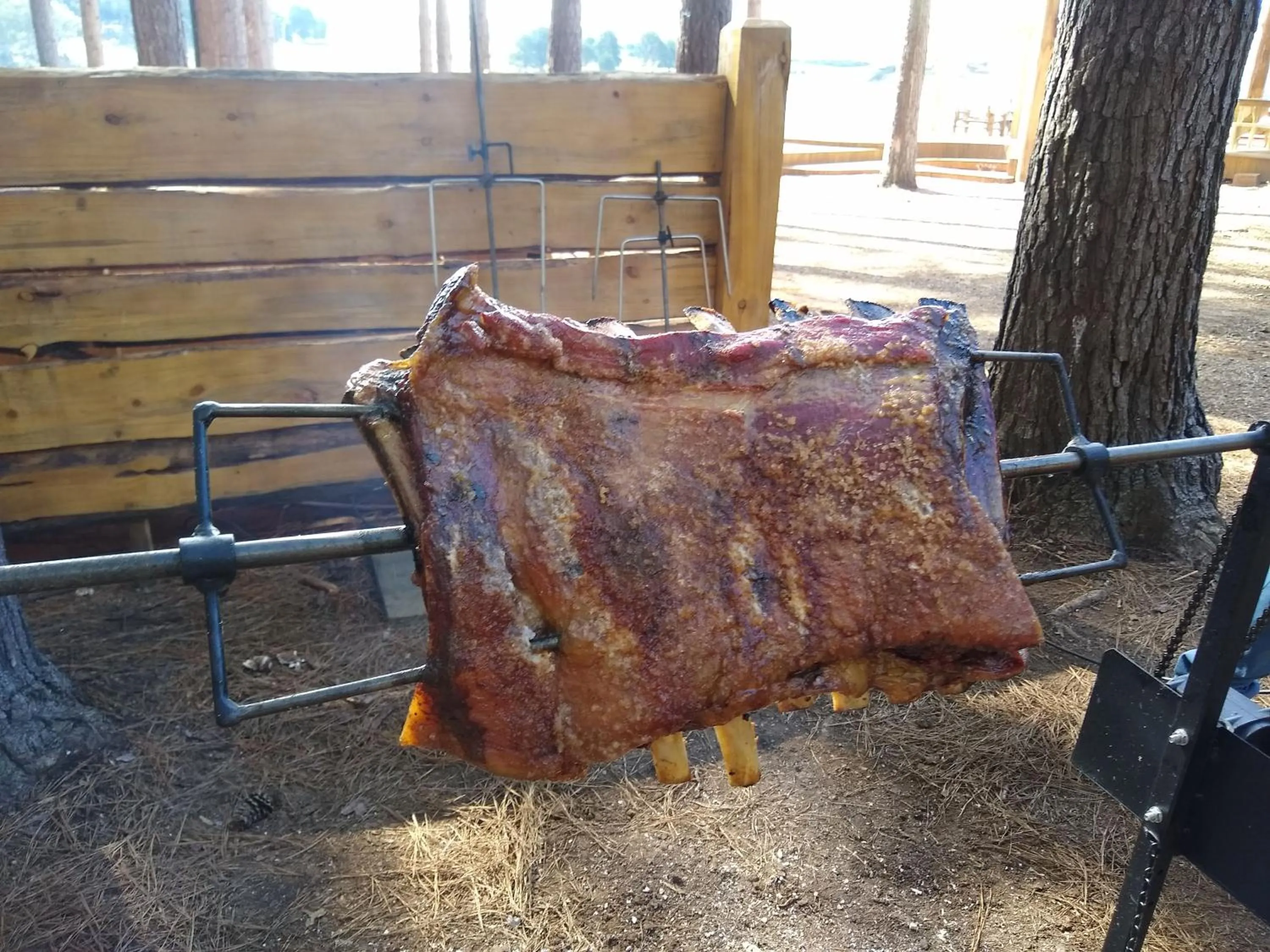 BBQ facilities in Tedesco Eco Park