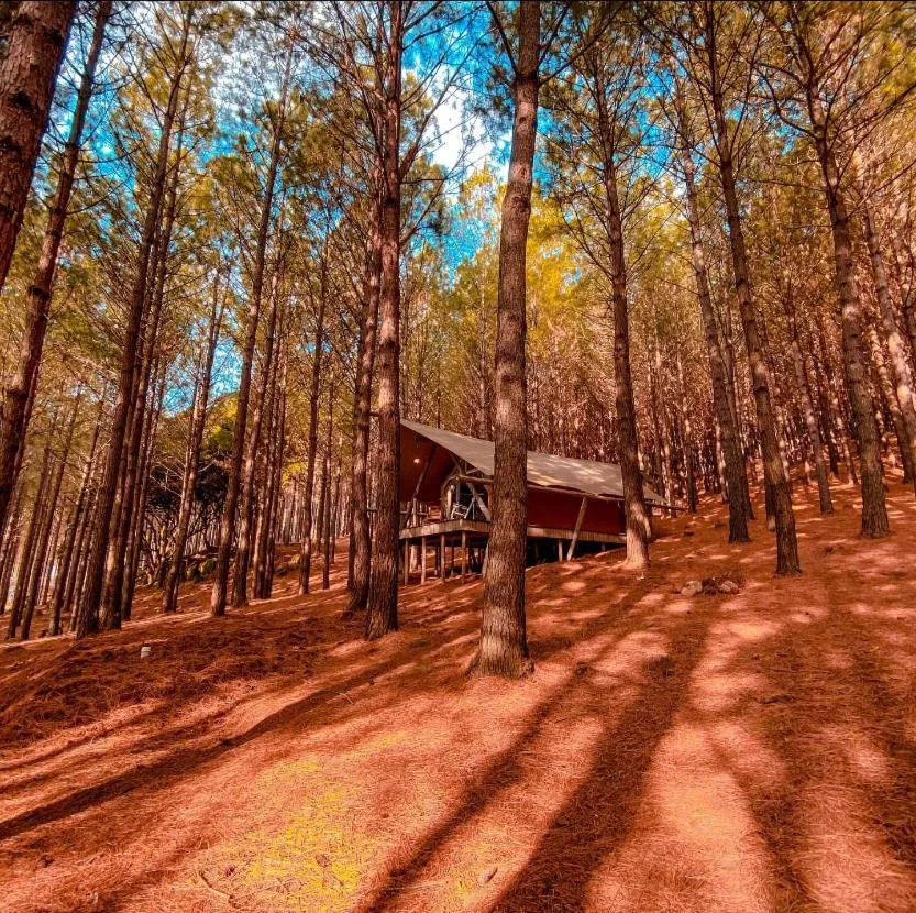 Property building in Tedesco Eco Park