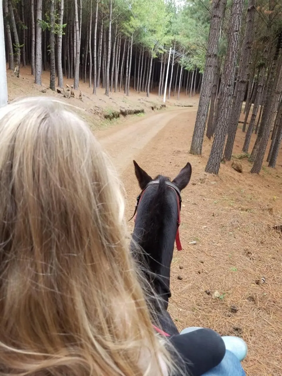 People in Tedesco Eco Park