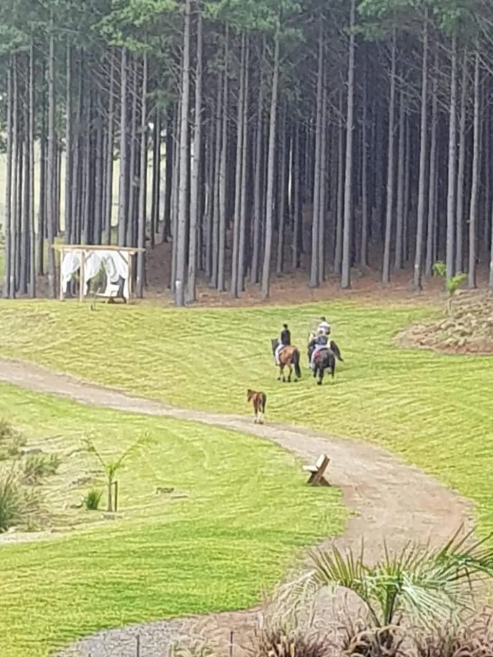 Garden in Tedesco Eco Park