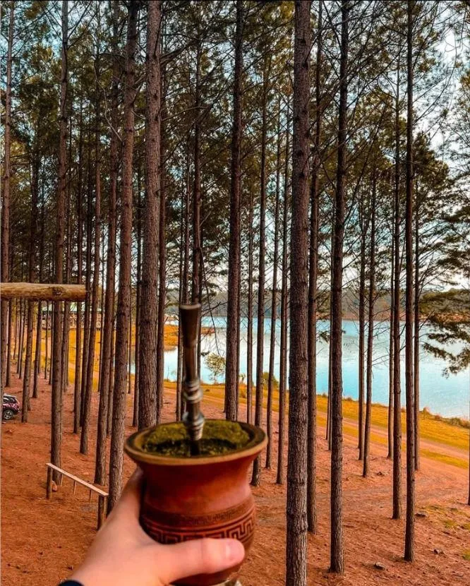 View (from property/room) in Tedesco Eco Park