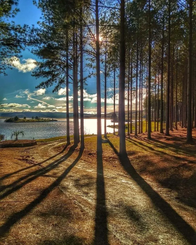 Lake view in Tedesco Eco Park