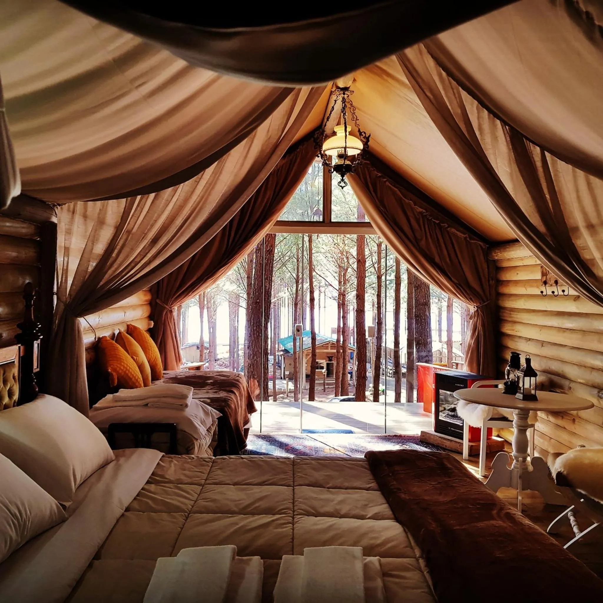 Photo of the whole room in Tedesco Eco Park