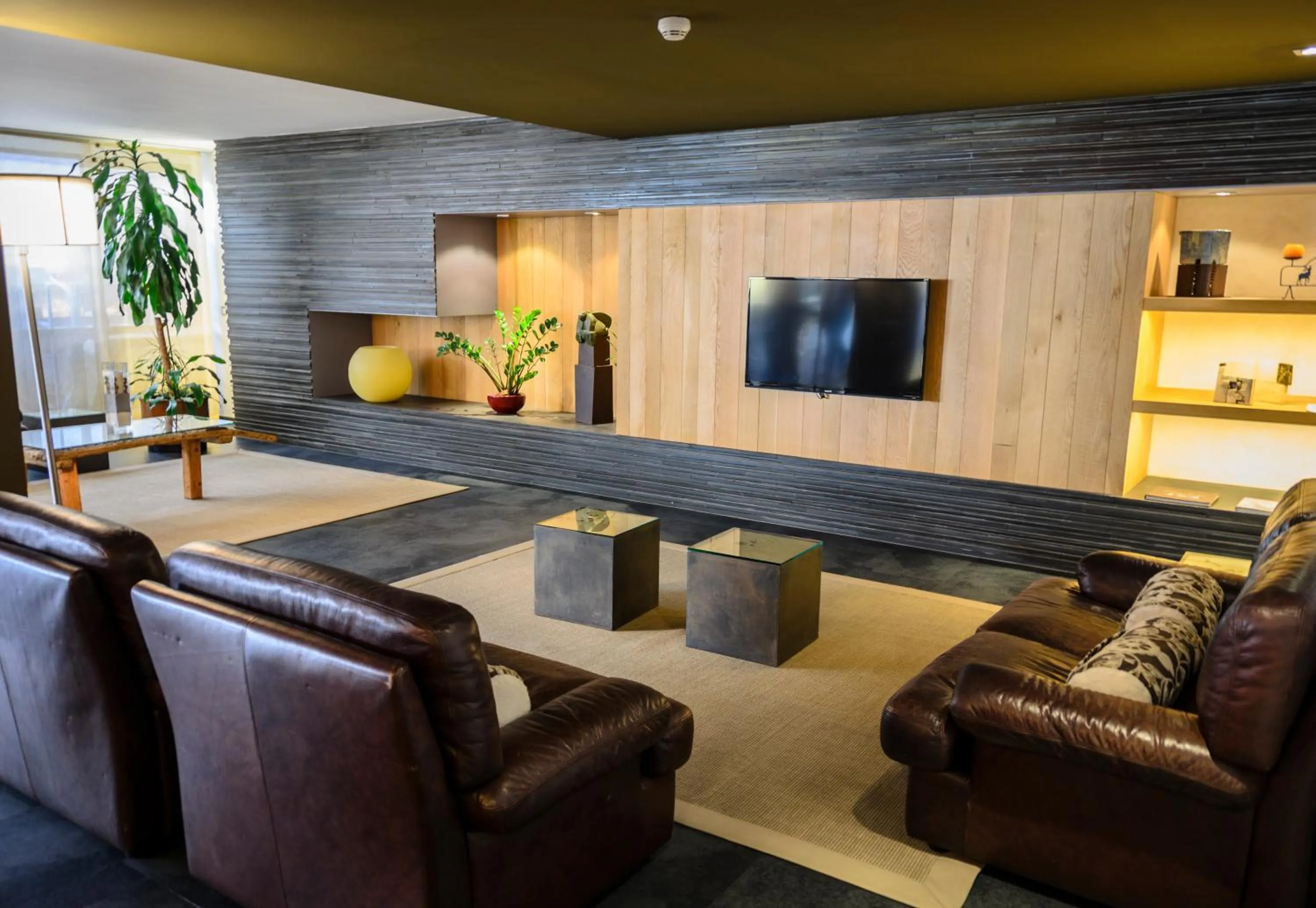 Communal lounge/ TV room in Les Closes