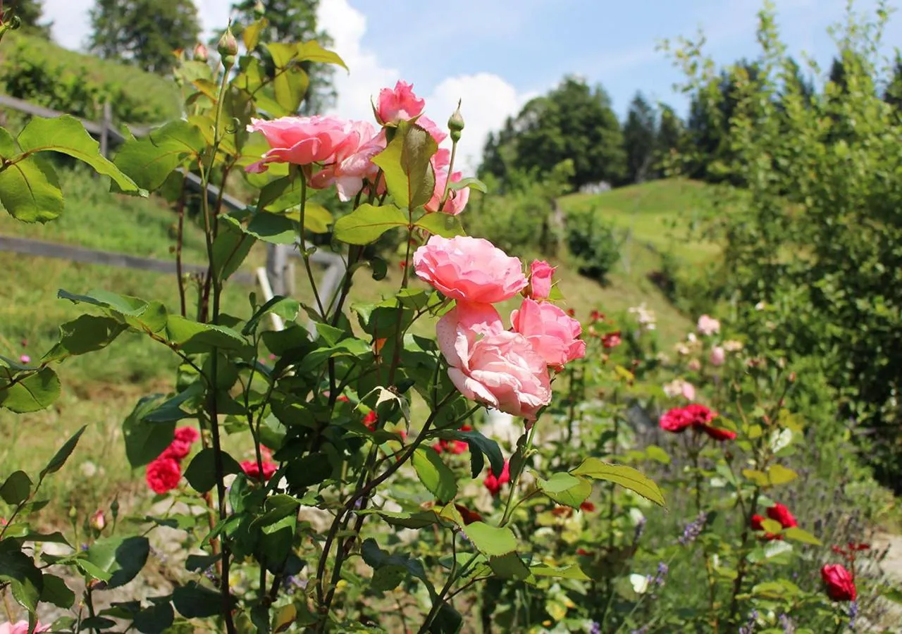 Garden in Appartements Naturnah