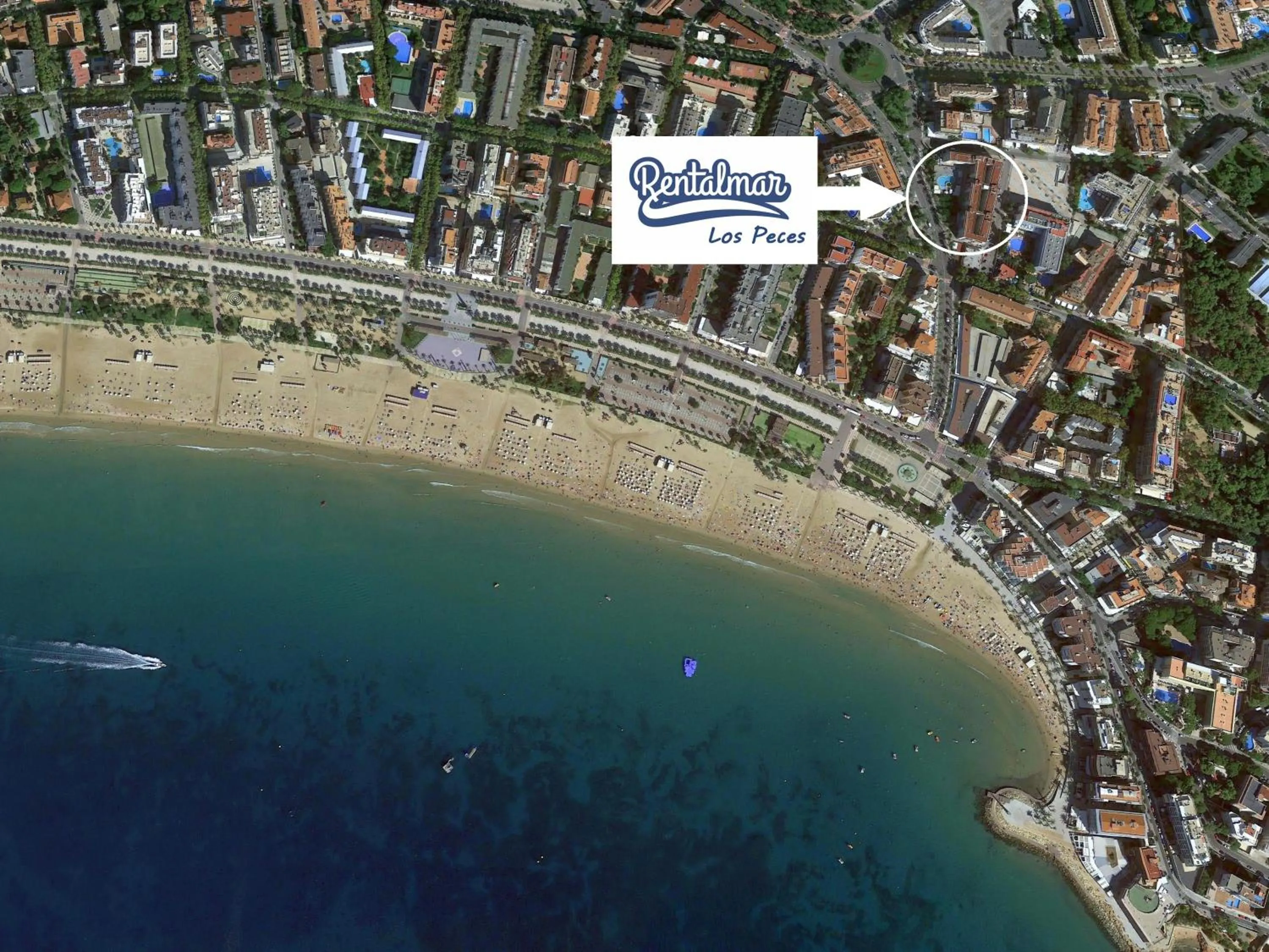 Bird's eye view in Rentalmar Los Peces