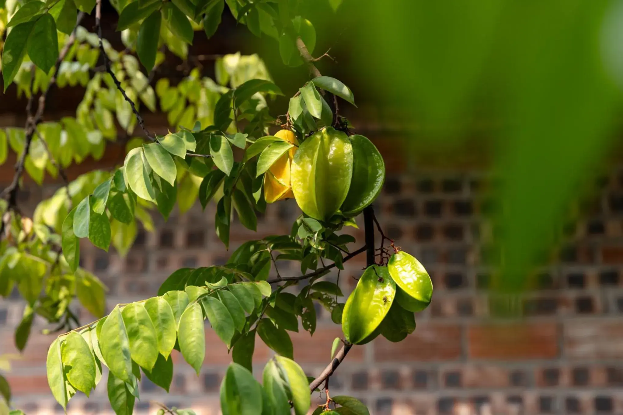 Garden view in LittleTamCoc Boutique Villa Ninh Binh Garden view in LittleTamCoc Boutique Villa Ninh Binh