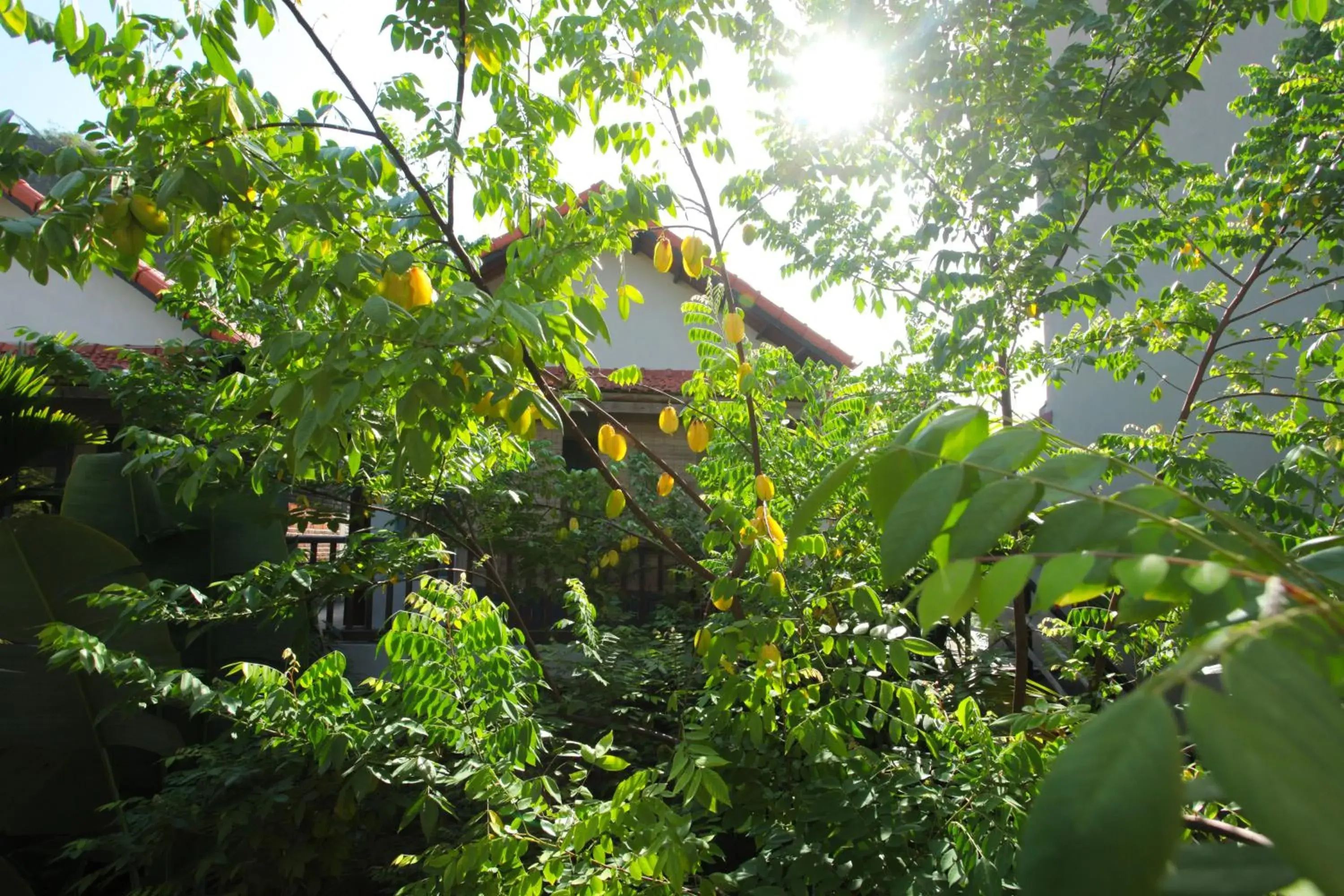 Property building in LittleTamCoc Boutique Villa Ninh Binh Property building in LittleTamCoc Boutique Villa Ninh Binh