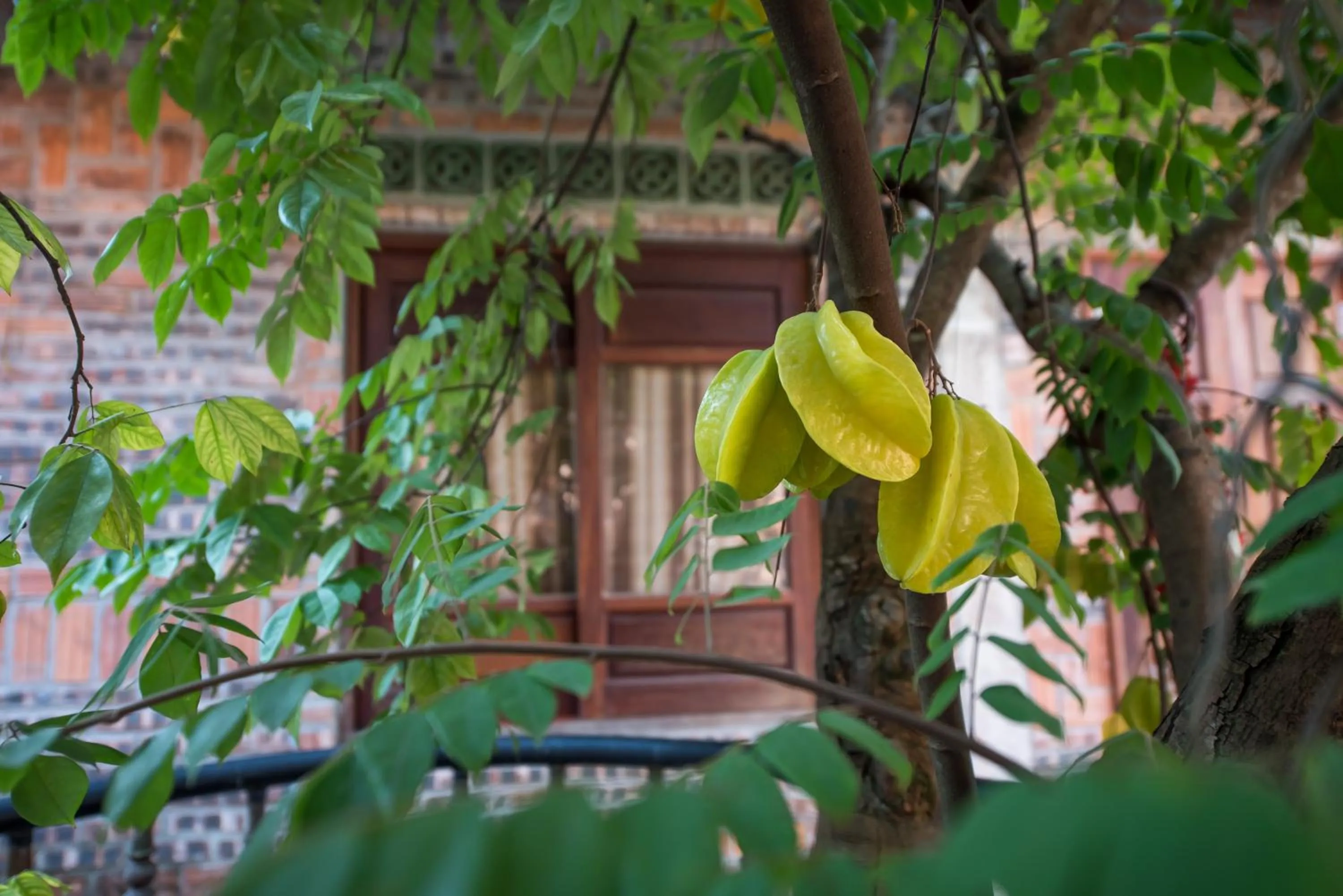 Balcony/Terrace in LittleTamCoc Boutique Villa Ninh Binh